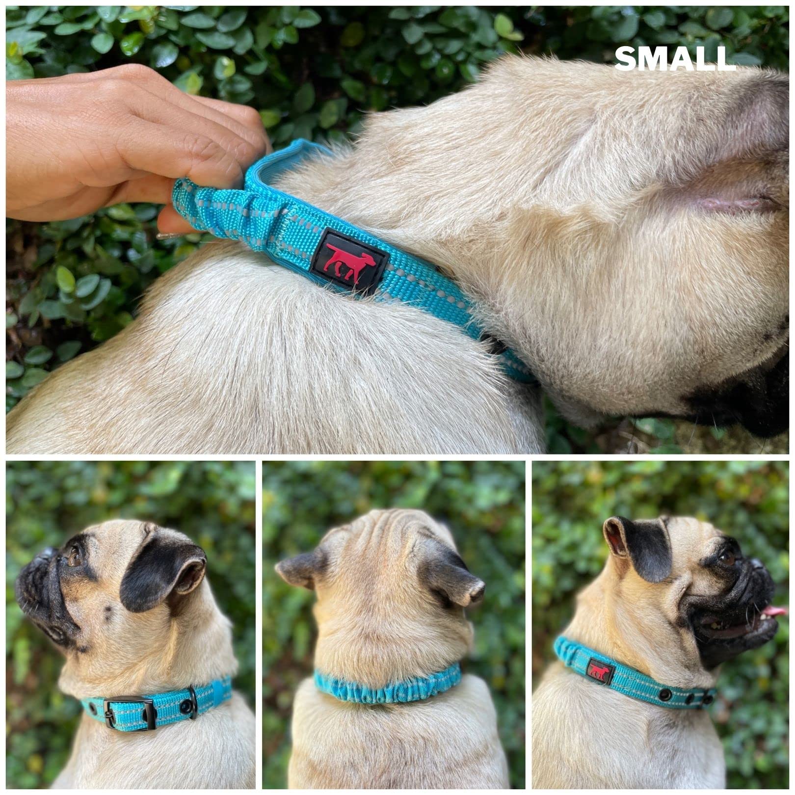 Tuff Pupper nylon balístico 3mm, resistente para perros activos