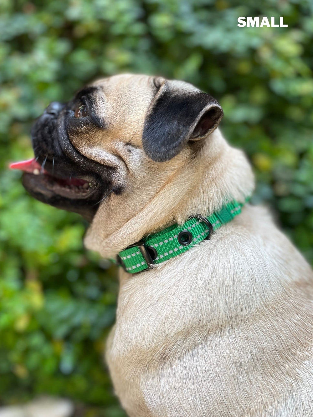 Tuff Pupper collar para perros activos: ideal para perros activos.