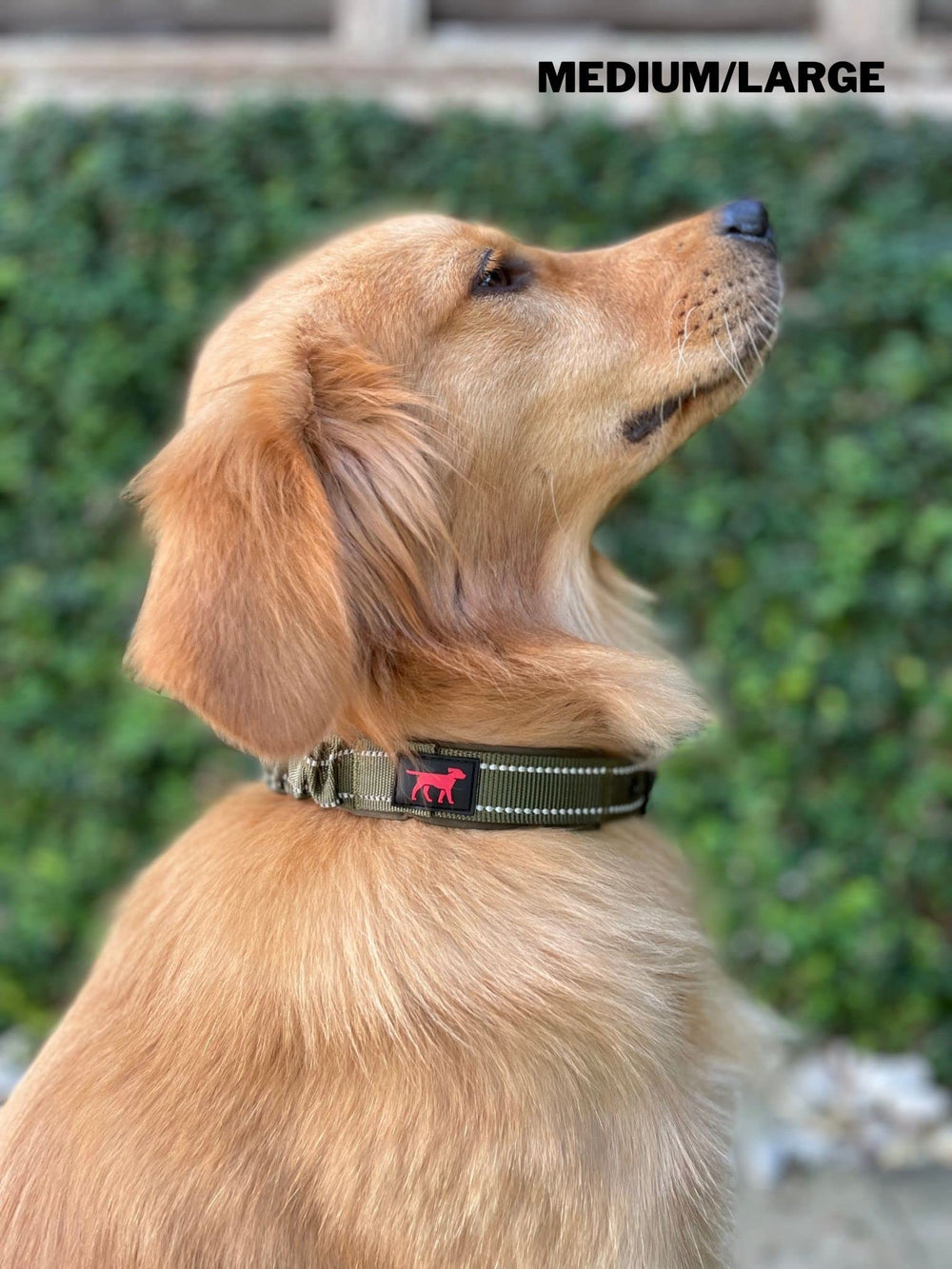 Tuff Pupper collar durable con garantía de por vida