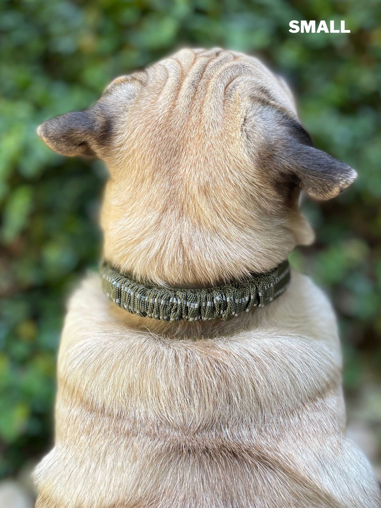 Tuff Pupper hebilla de acero inoxidable para uso prolongado