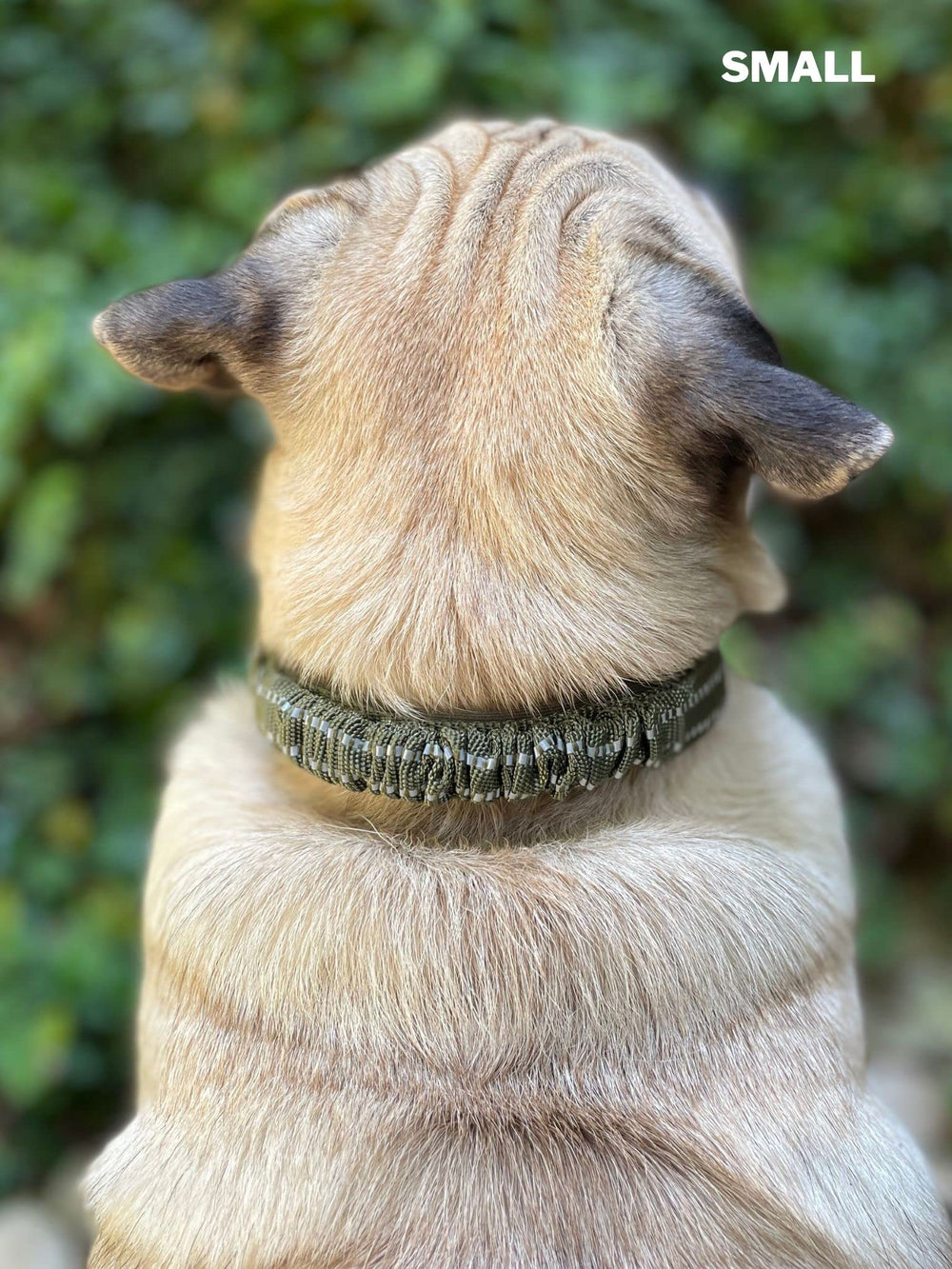 Tuff Pupper hebilla de acero inoxidable para uso prolongado