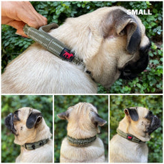 Tuff Pupper hebillas y herrajes de acero inoxidable para mayor durabilidad