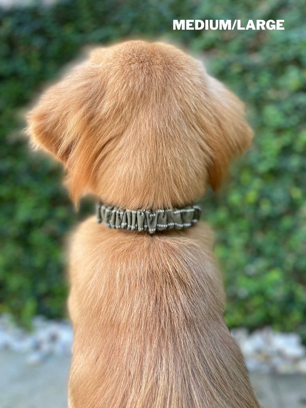 Tuff Pupper herrajes de acero inoxidable para mayor seguridad