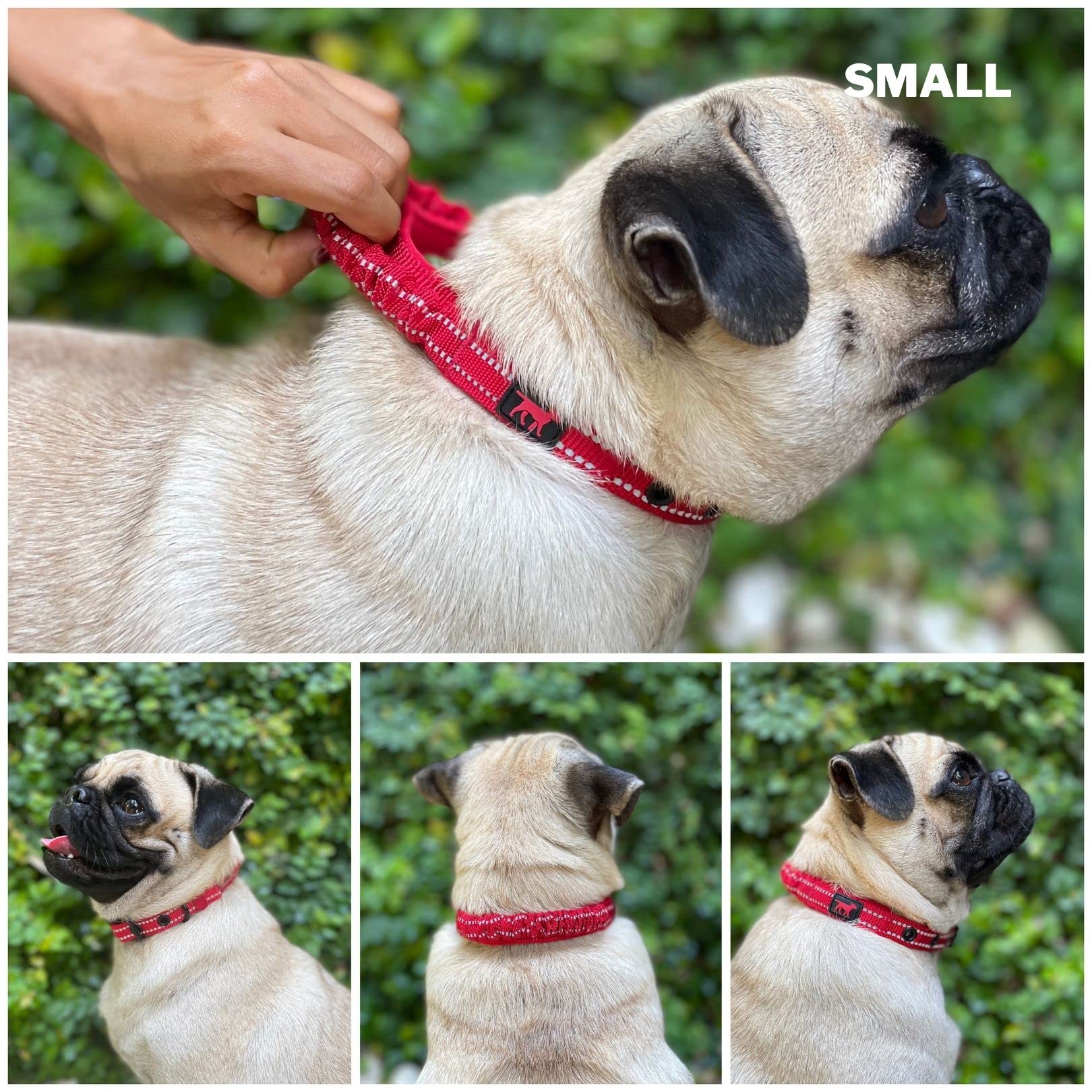 Collar Tuff Pupper con acabado reflectante 3M para visibilidad nocturna.