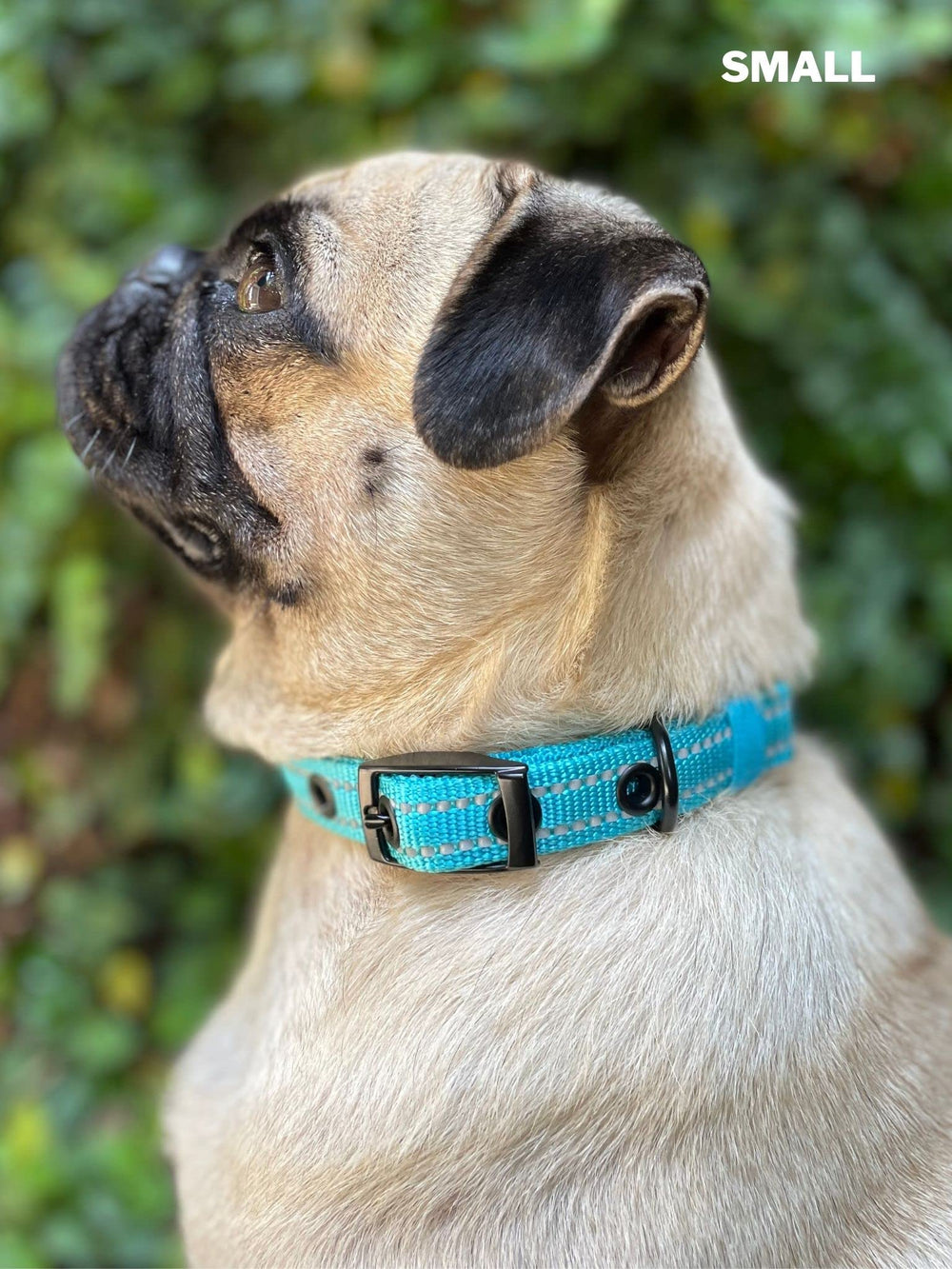 Tuff Pupper servicio y garantía de por vida con cada compra