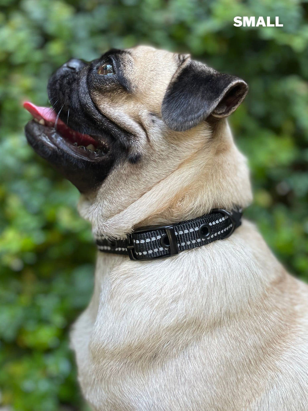 Servicio al cliente y garantía de 30 días para collar Tuff Pupper.