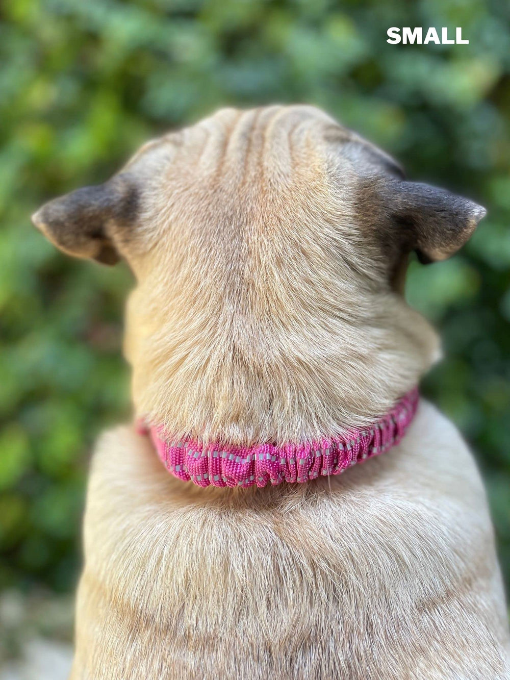 Tuff Pupper collar tabla de tallas: ajuste perfecto para cada raza.