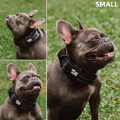 Porta-identificación integrada en el collar Tuff Pupper para ficha rápida