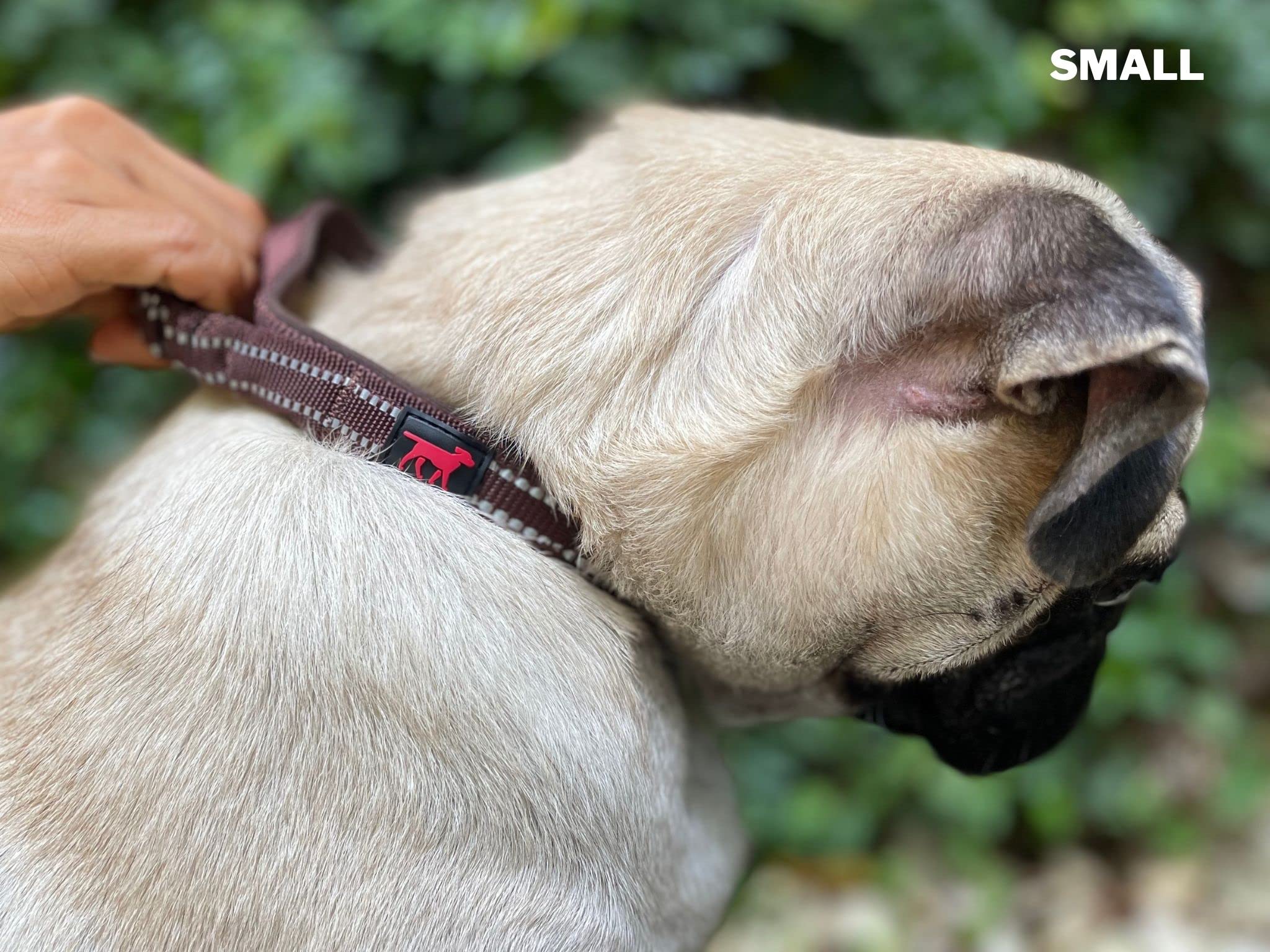 Tallas ajustables de Tuff Pupper para todas las razas, ajuste seguro.