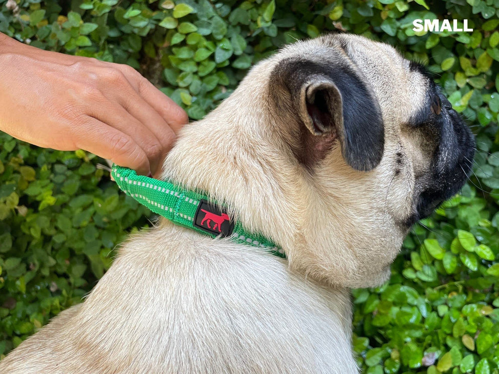 Tuff Pupper collar tallas ajustables: compatibilidad para todas las razas.