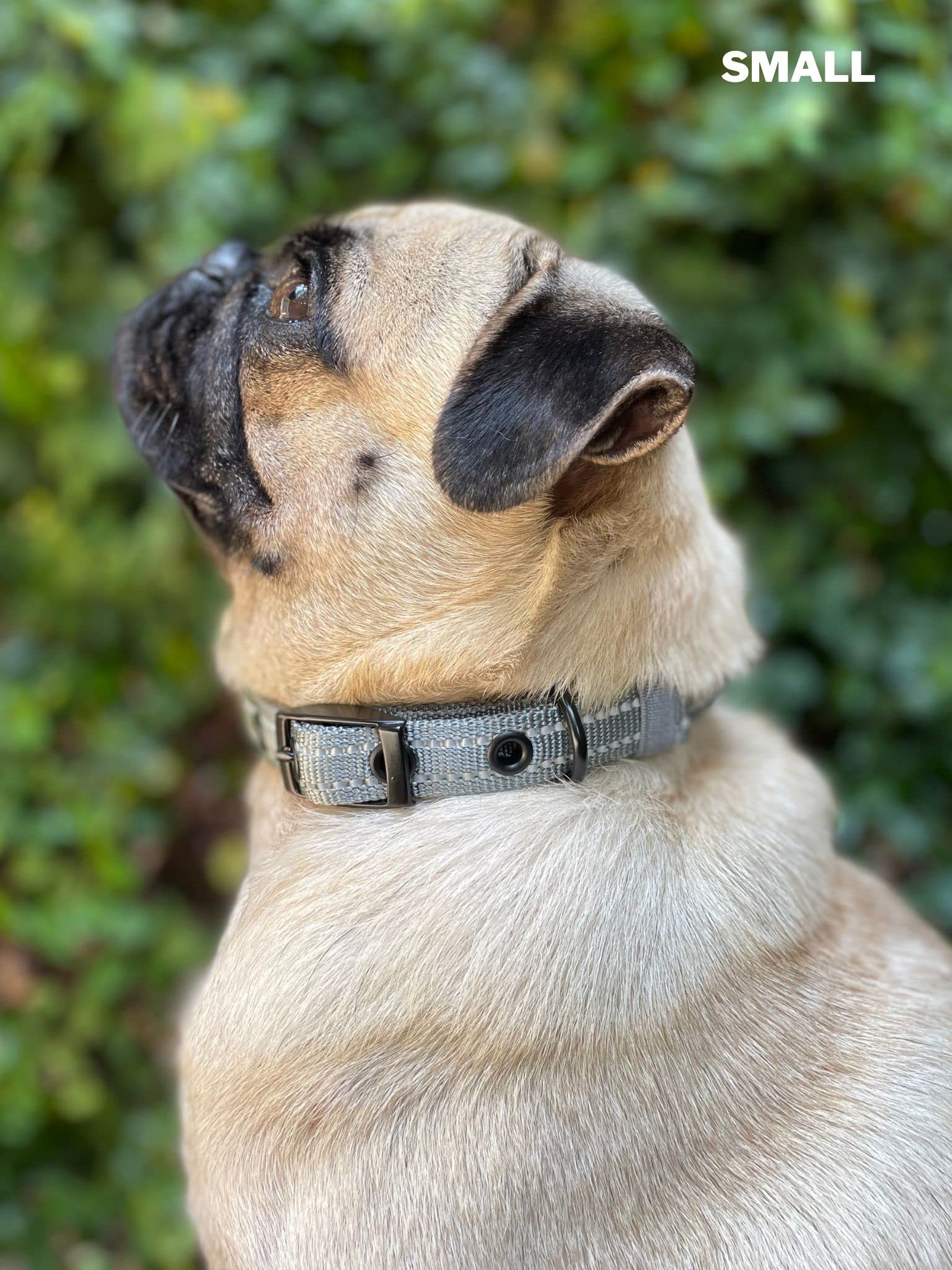 Collar Tuff Pupper con tres tallas disponibles para todos los perros