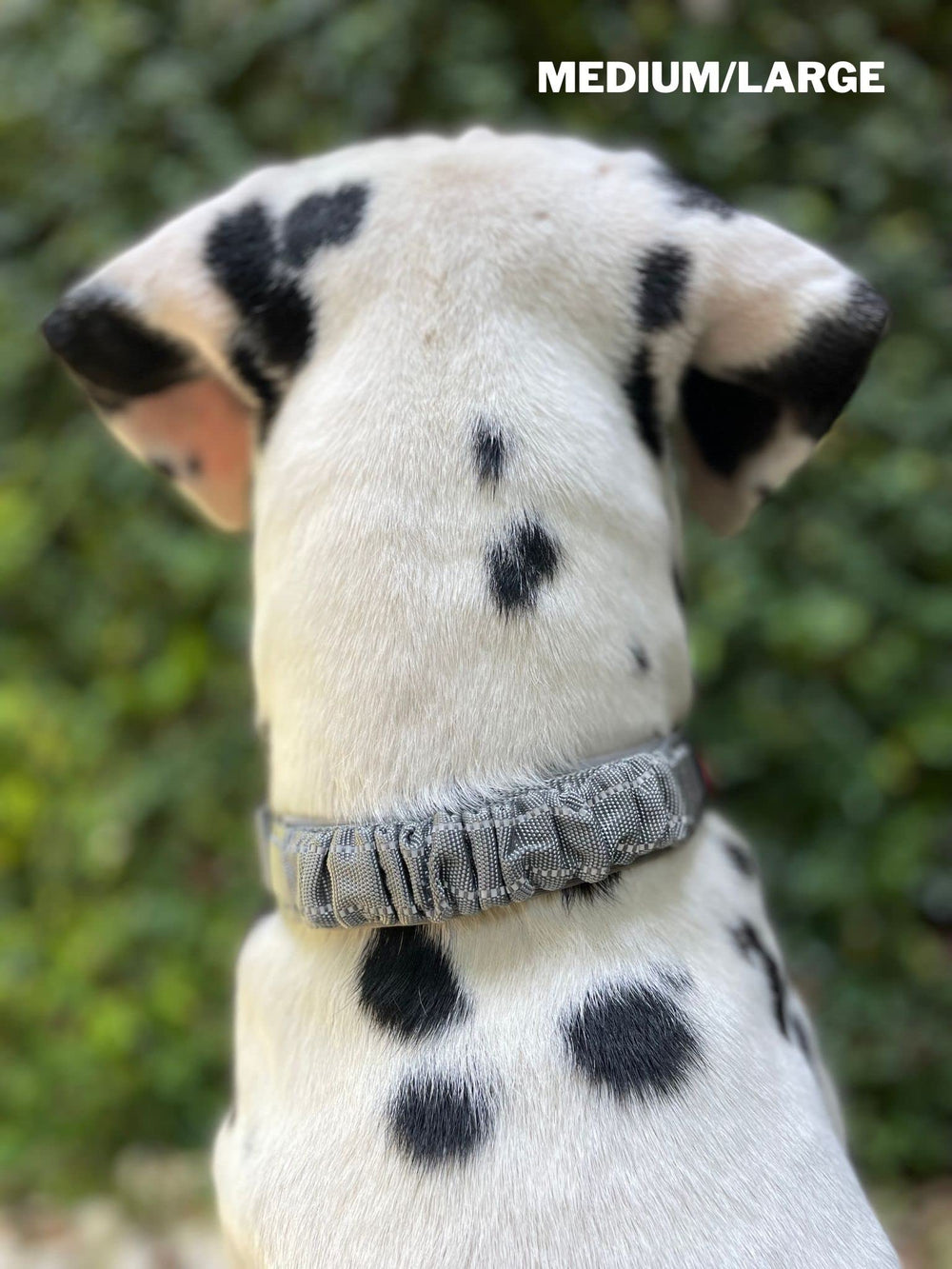 Collar Tuff Pupper ideal para paseos y entrenamiento con control suave