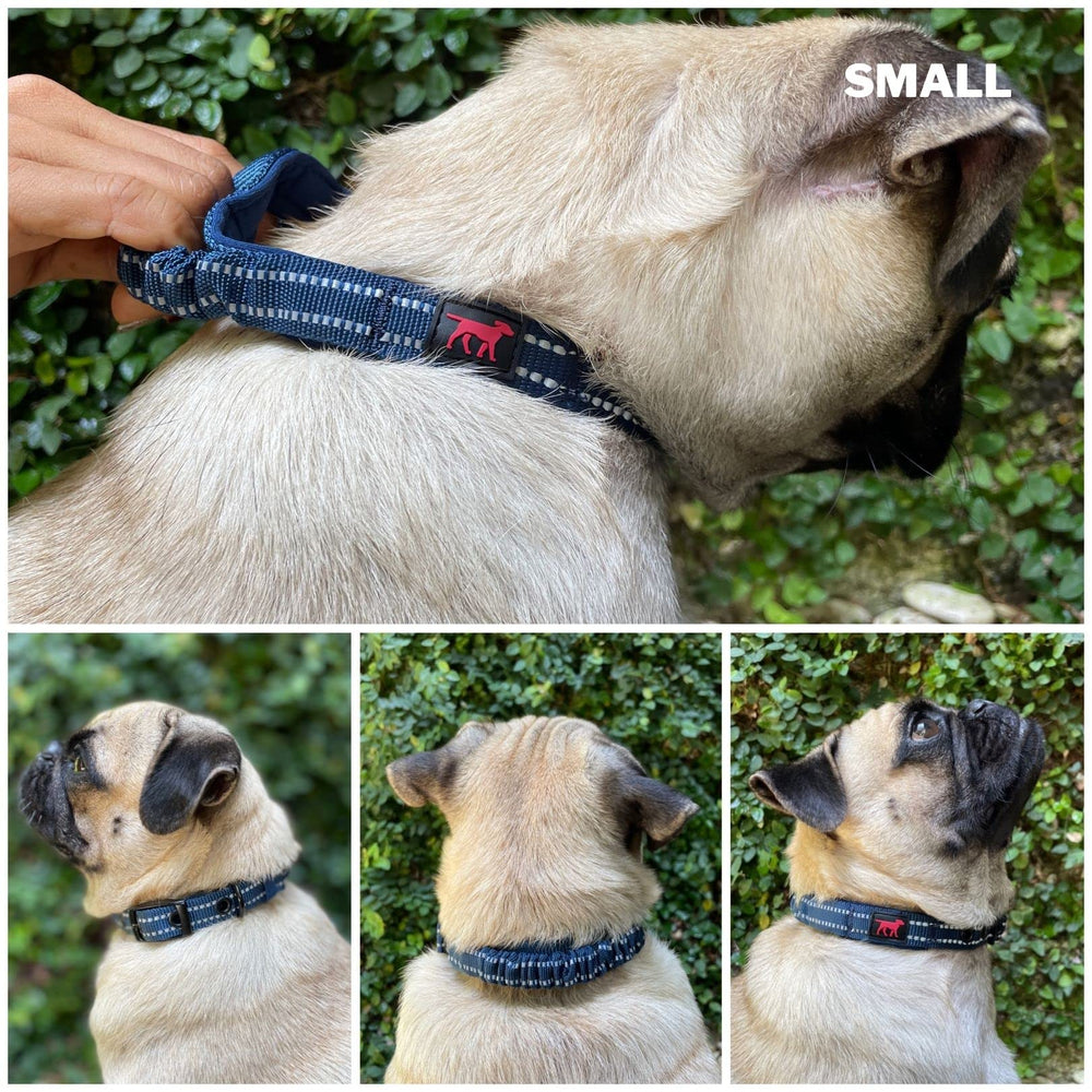 Acolchado de neopreno suave de Tuff Pupper brinda confort durante actividad intensa