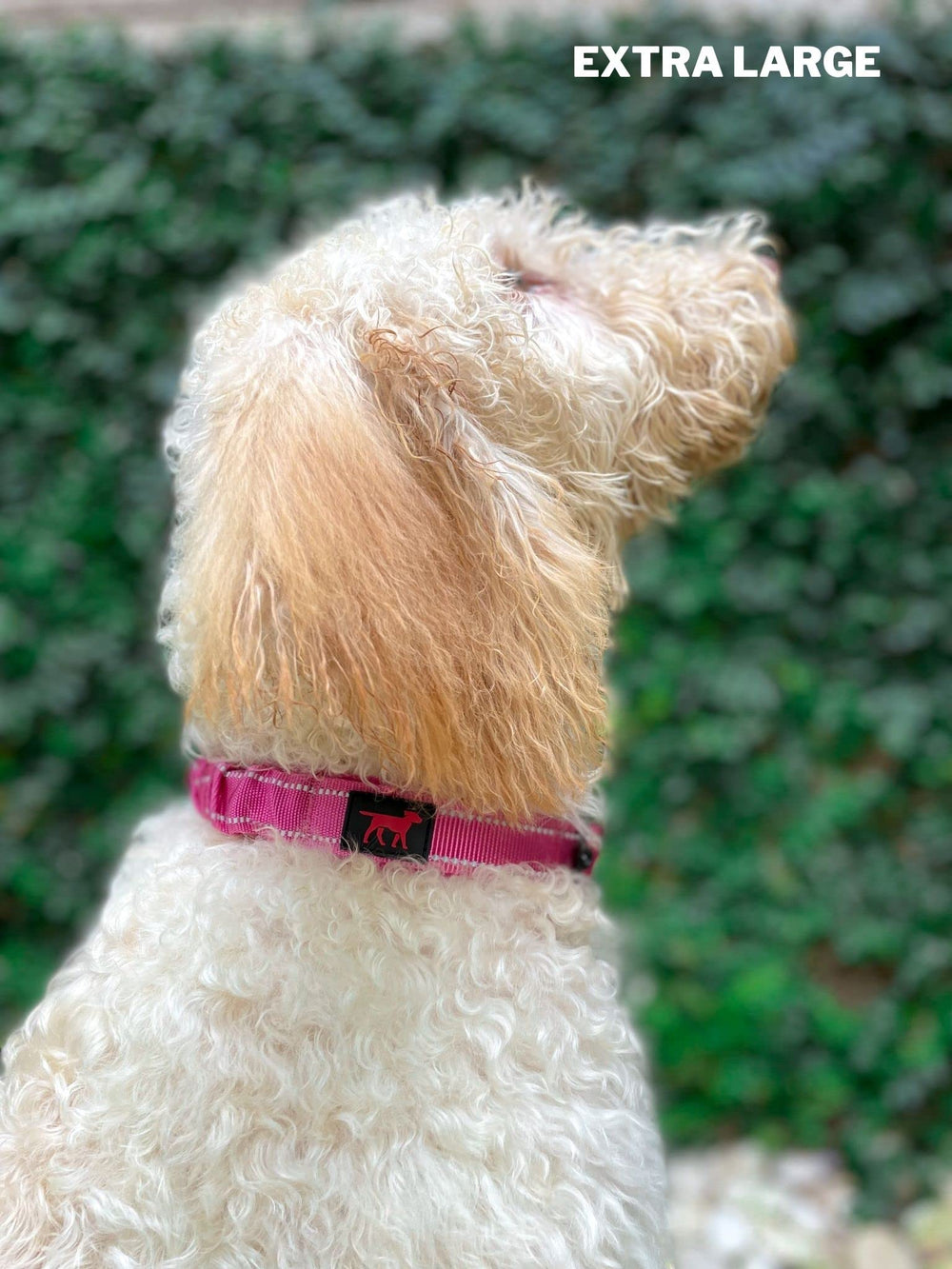 Tuff Pupper diseño ergonómico para uso diario cómodo.