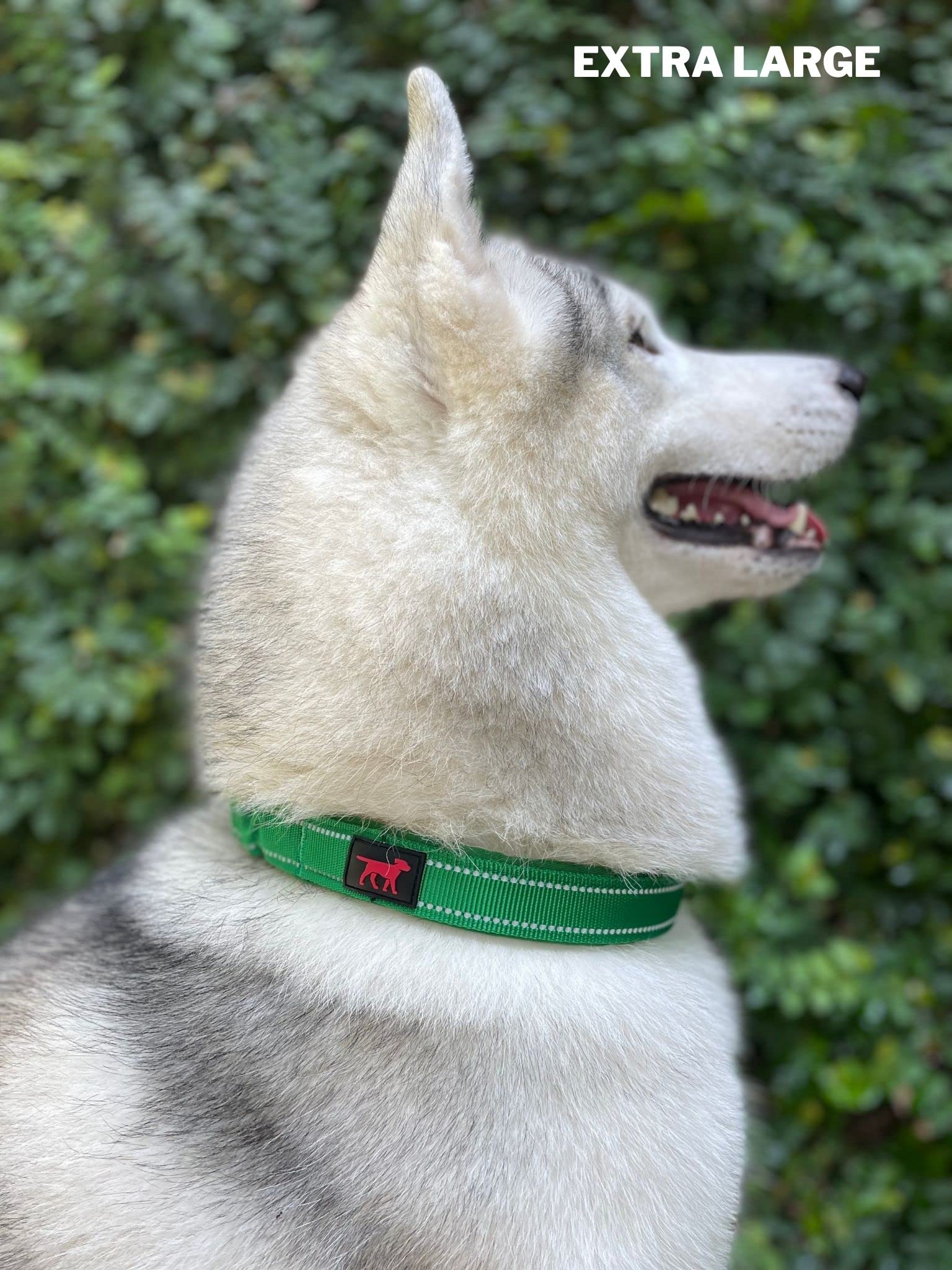 Tuff Pupper diseño resistente para uso diario y paseo