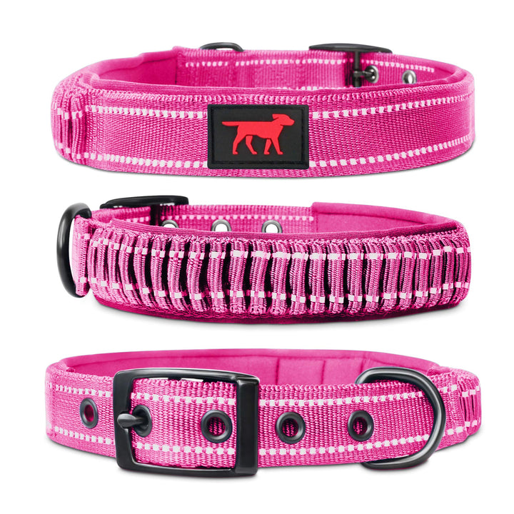 Tuff Pupper correa de nylon balístico para paseos diarios seguros.