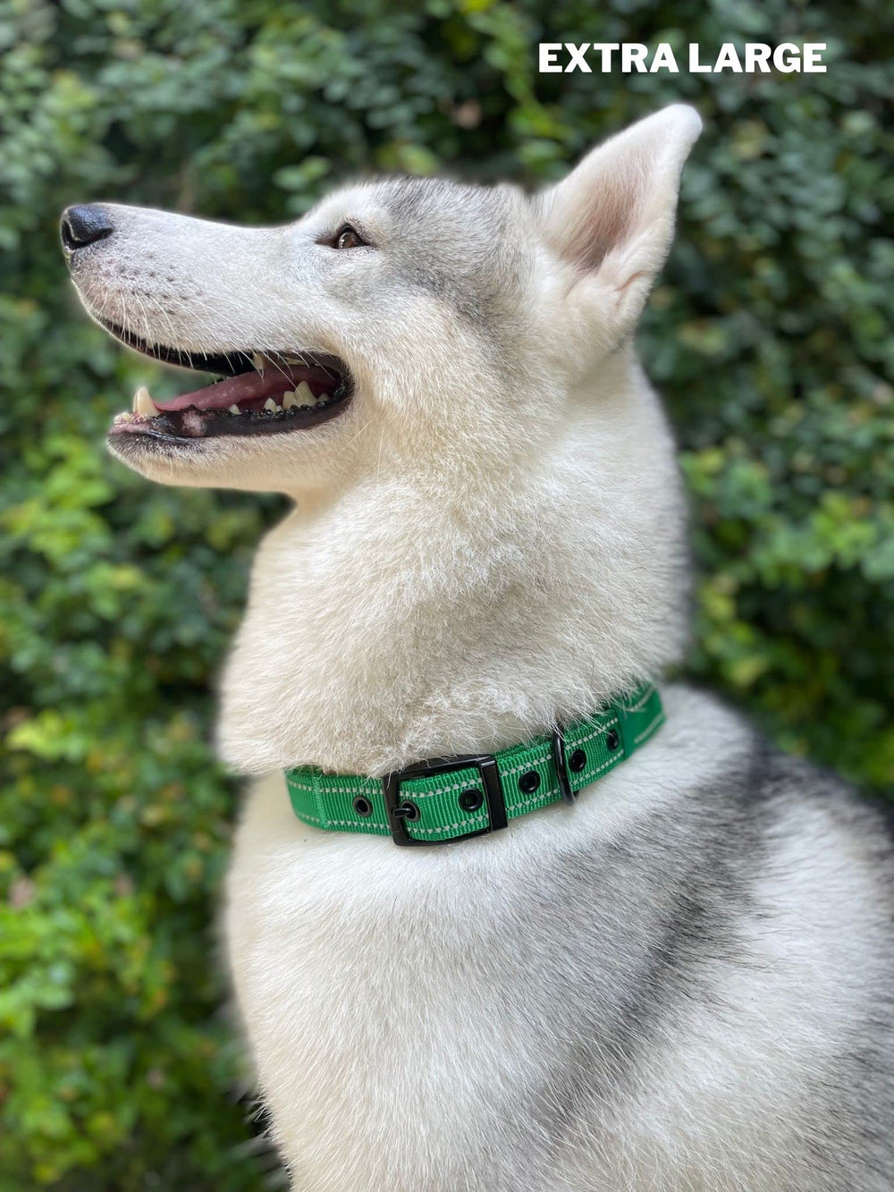 Tuff Pupper talla ajustable para todas las razas