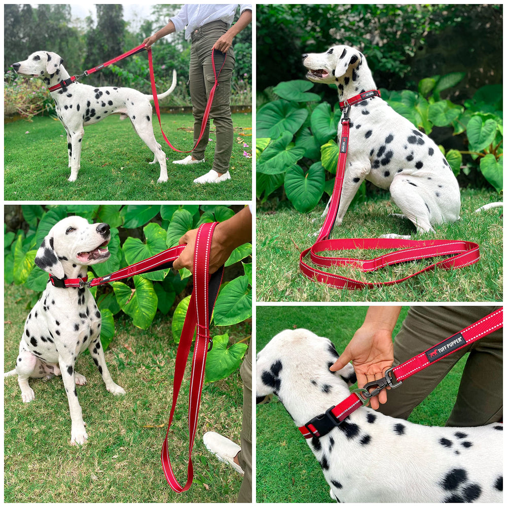 Tuff Pupper dos mangos para seguridad y control cercano.