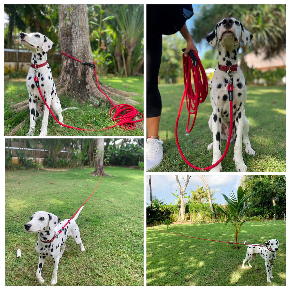 Ideal para entrenamiento a distancia y mantener al perro dentro de la vista.