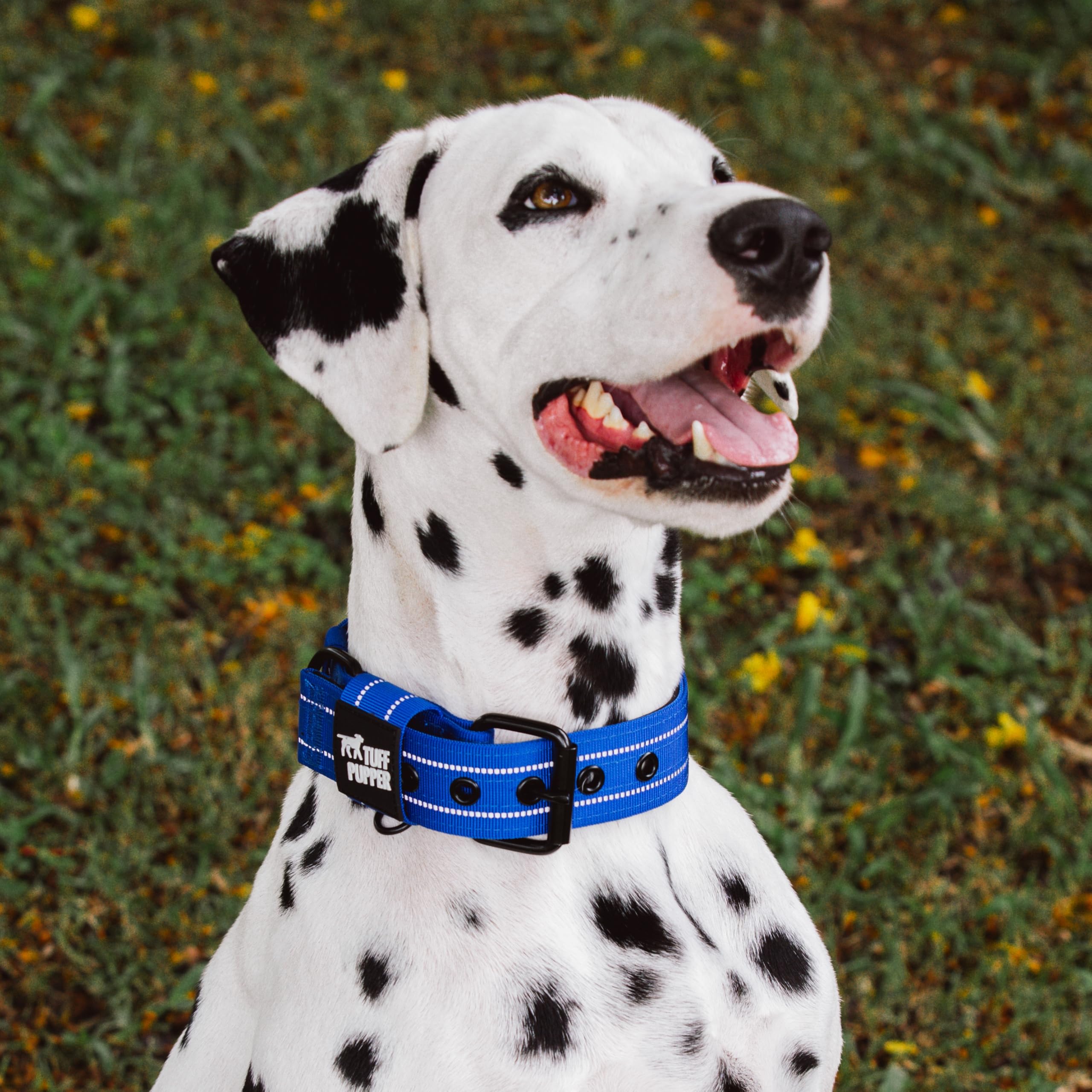 Fácil limpieza y mantenimiento de la correa Tuff Pupper.