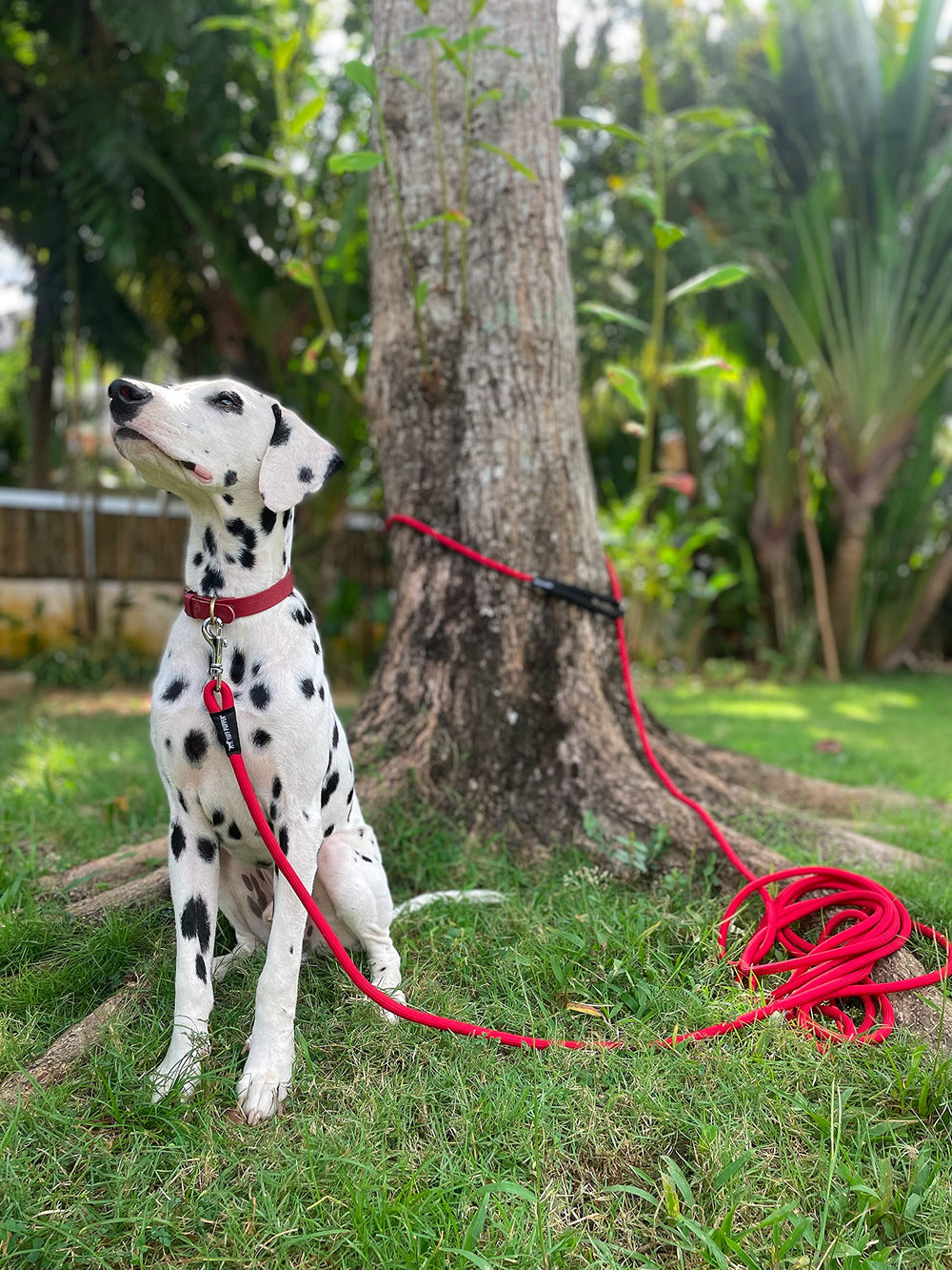 Garantía de por vida y servicio al cliente de Tuff Pupper.