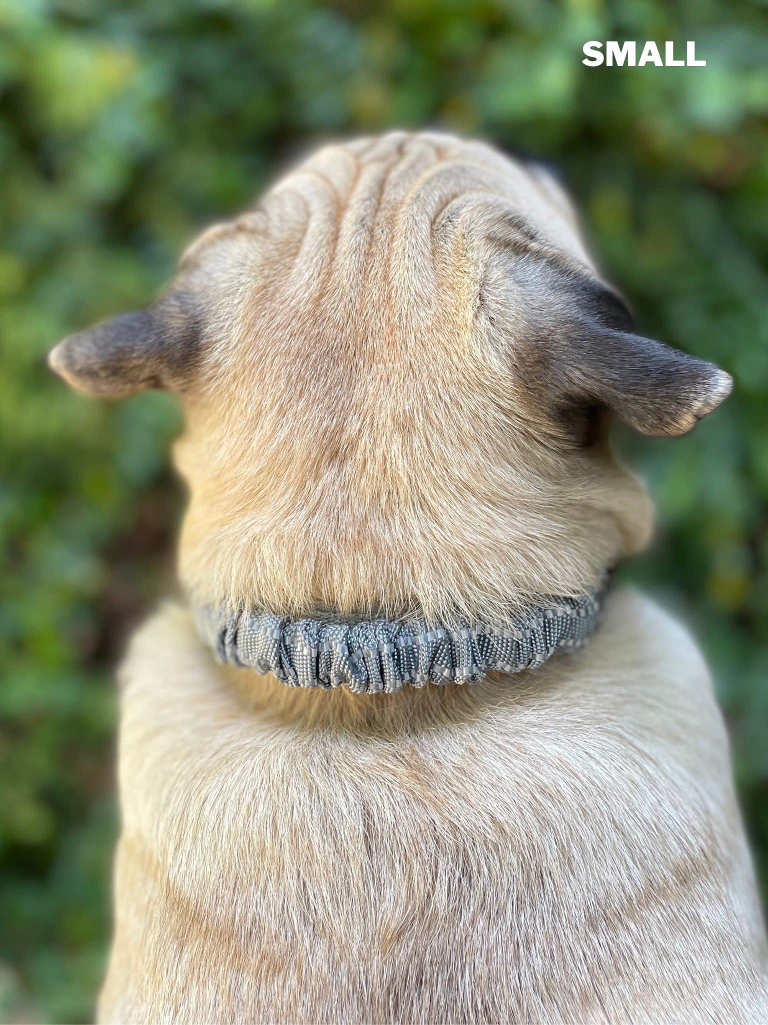 Collar Tuff Pupper con garantía de por vida para tranquilidad
