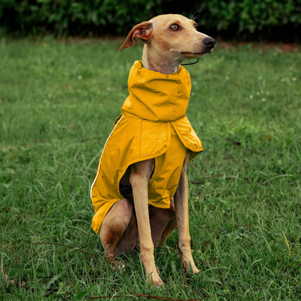 Chubasquero Tuff Pupper lavado fácil y secado rápido
