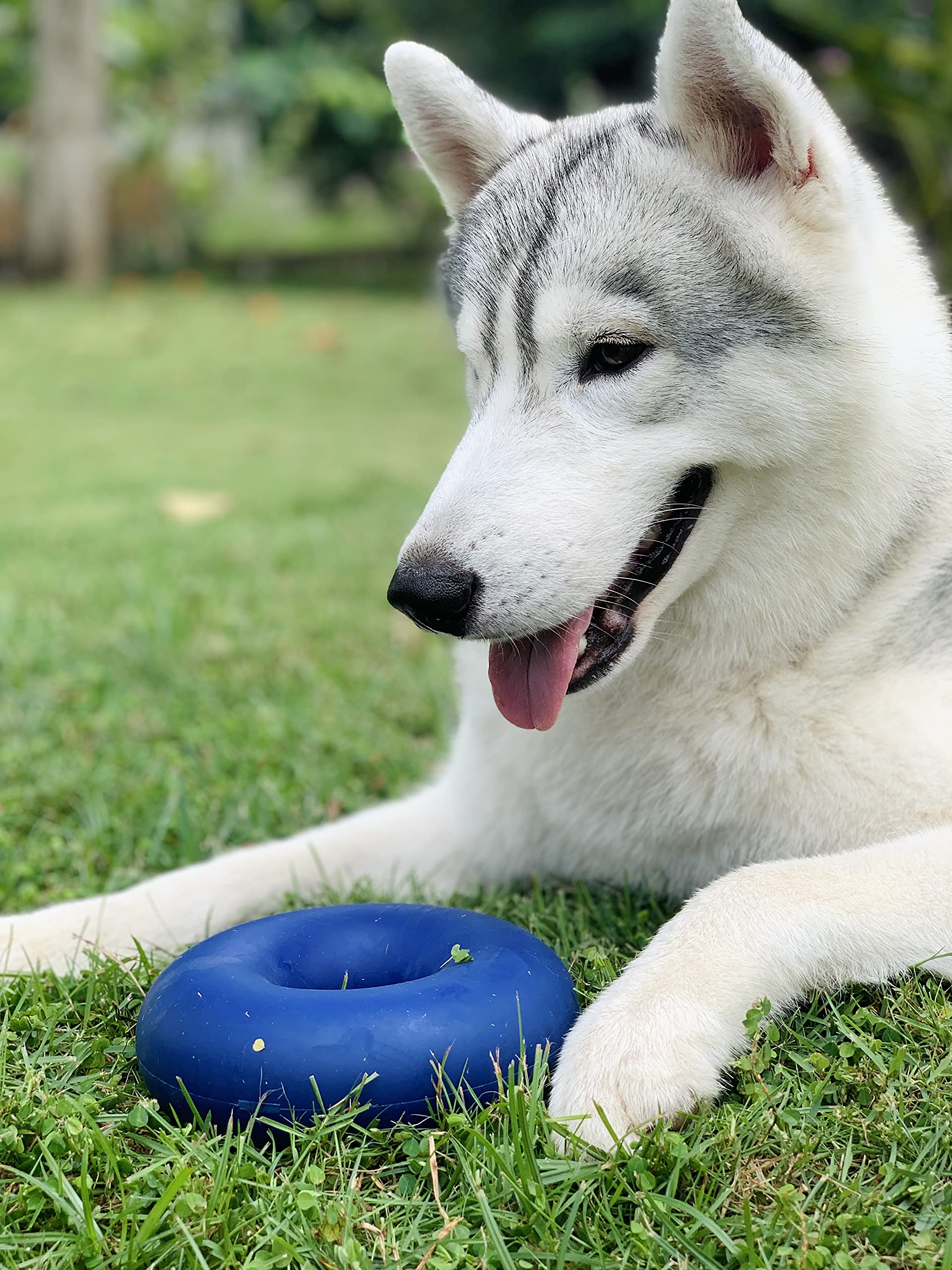 Tuff Pupper, juguete fácil de limpiar con jabón y agua.