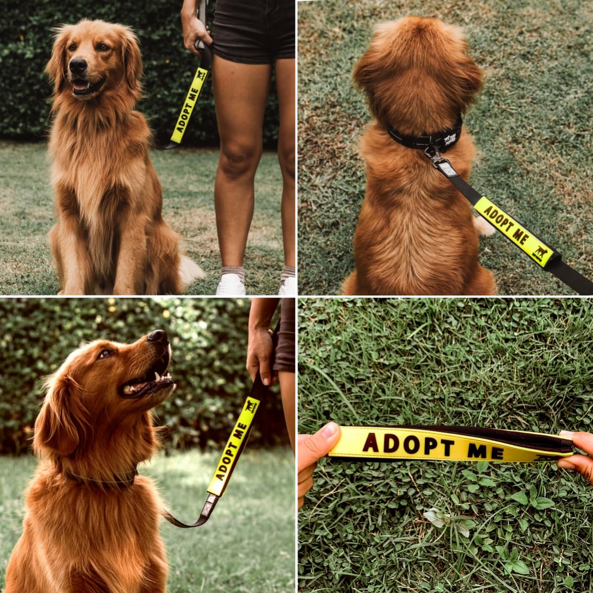 Tuff Pupper: texto de alto contraste, lectura rápida en exteriores.