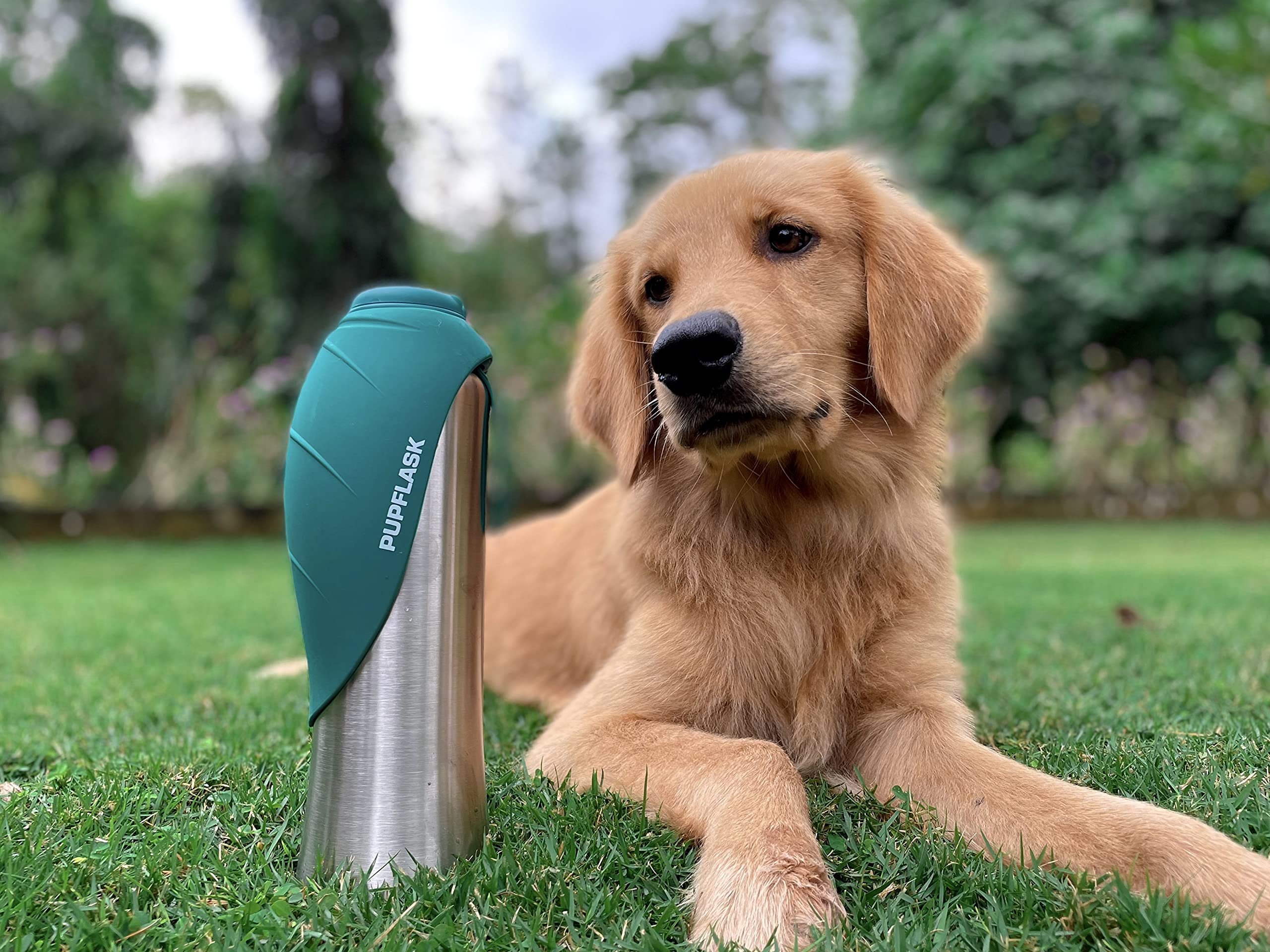 Botella de acero inoxidable PupFlask, duradera para mascotas