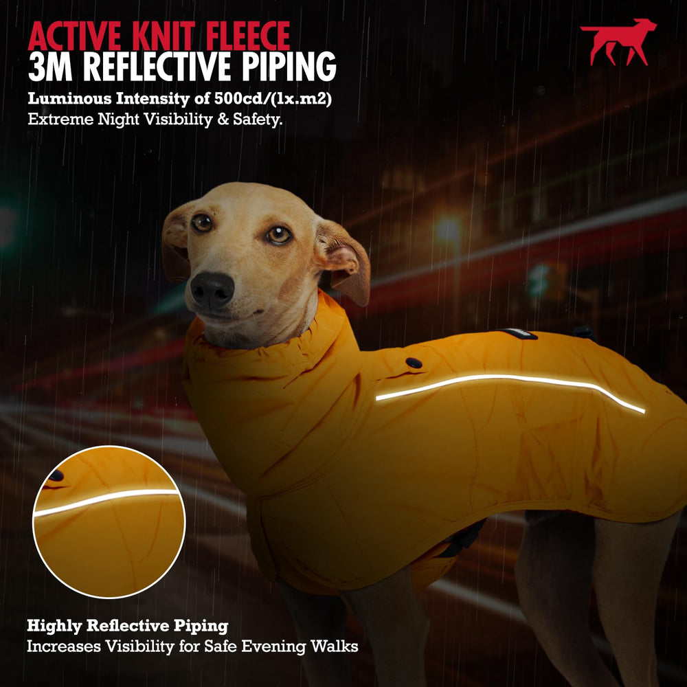 Detalles reflectivos en chubasquero Tuff Pupper para visibilidad nocturna