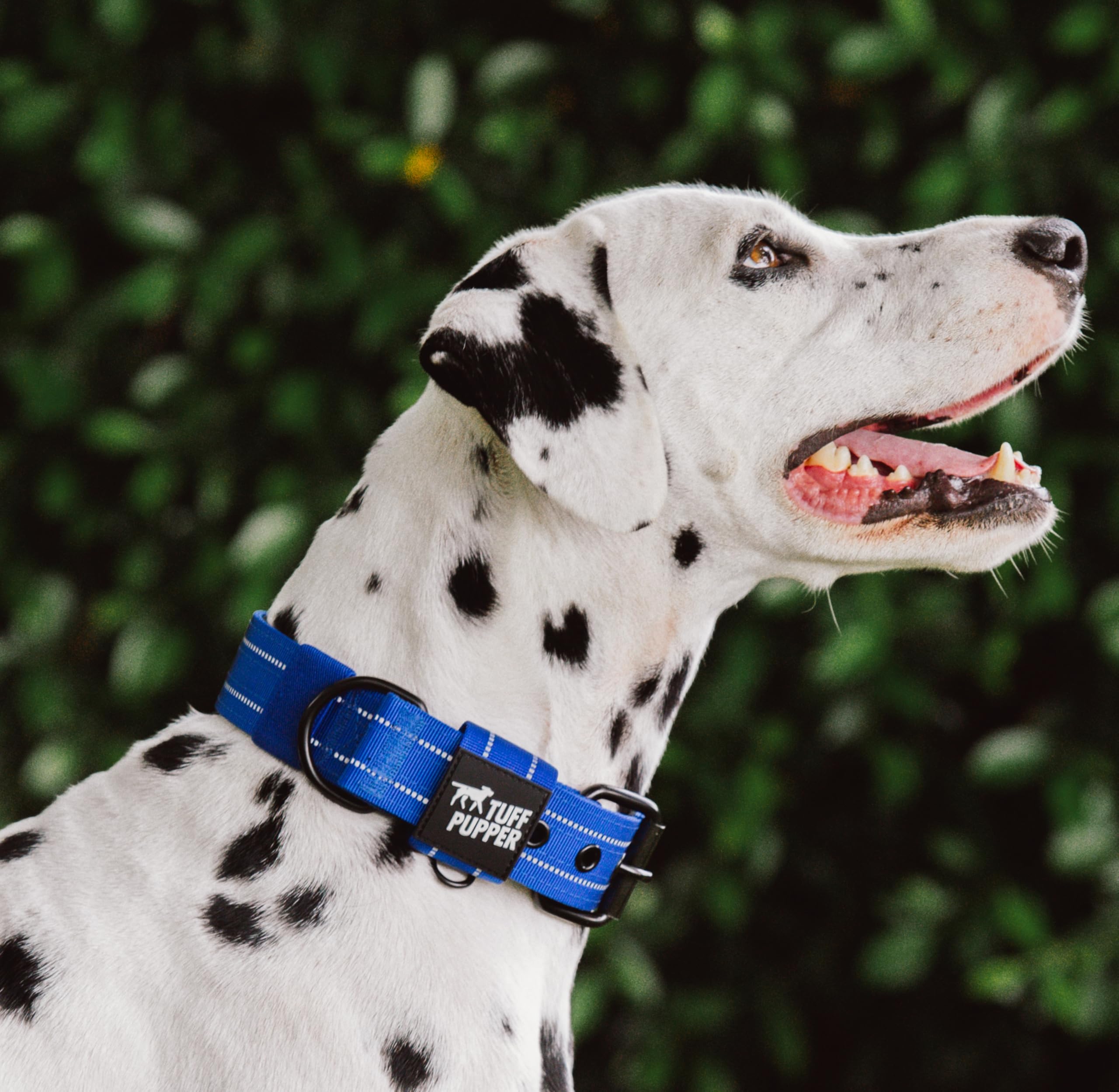 Atención al cliente y garantía de por vida de Tuff Pupper.