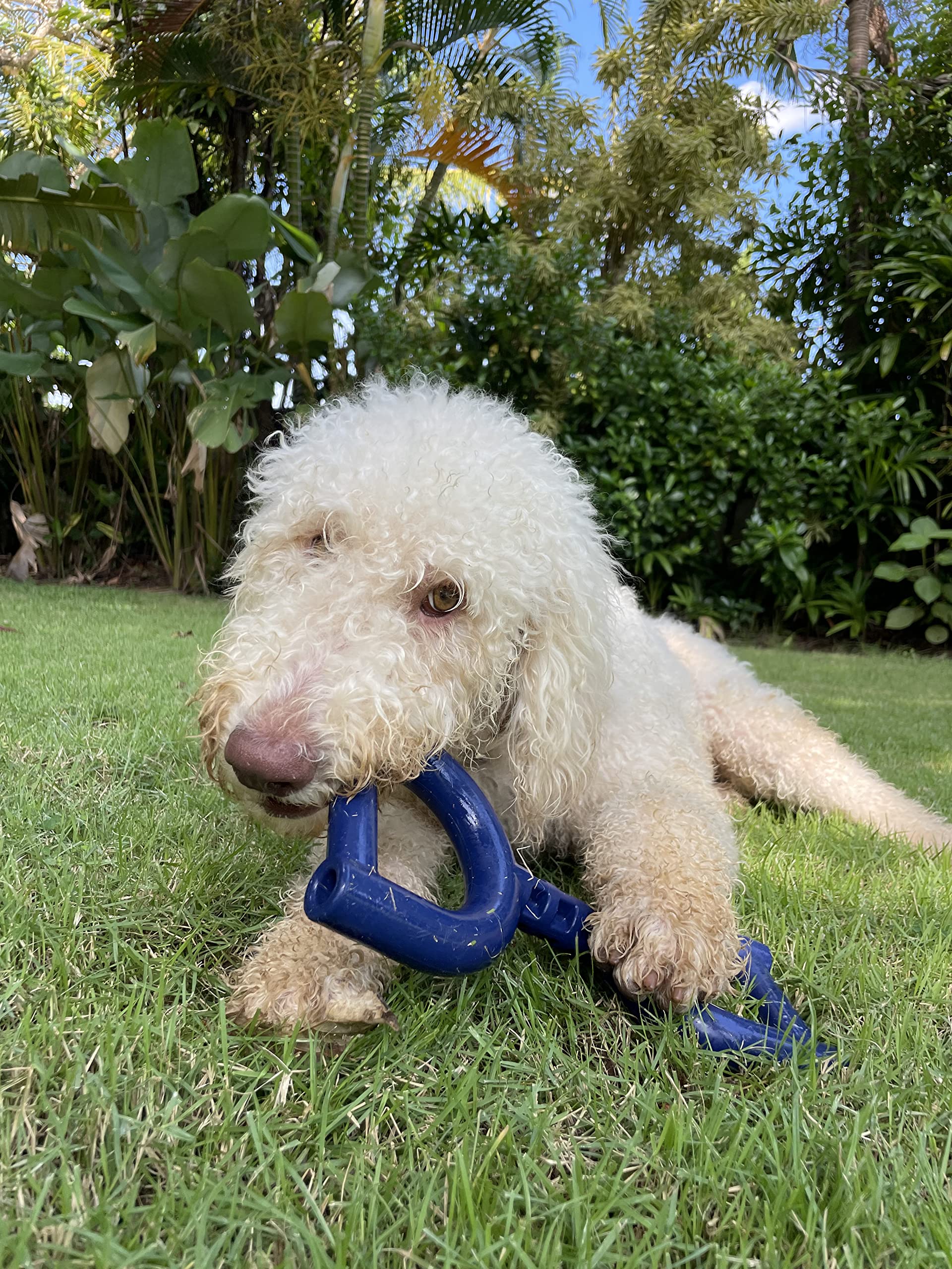 Juguete tirón para entrenamiento y hábitos saludables, Tuff Pupper.