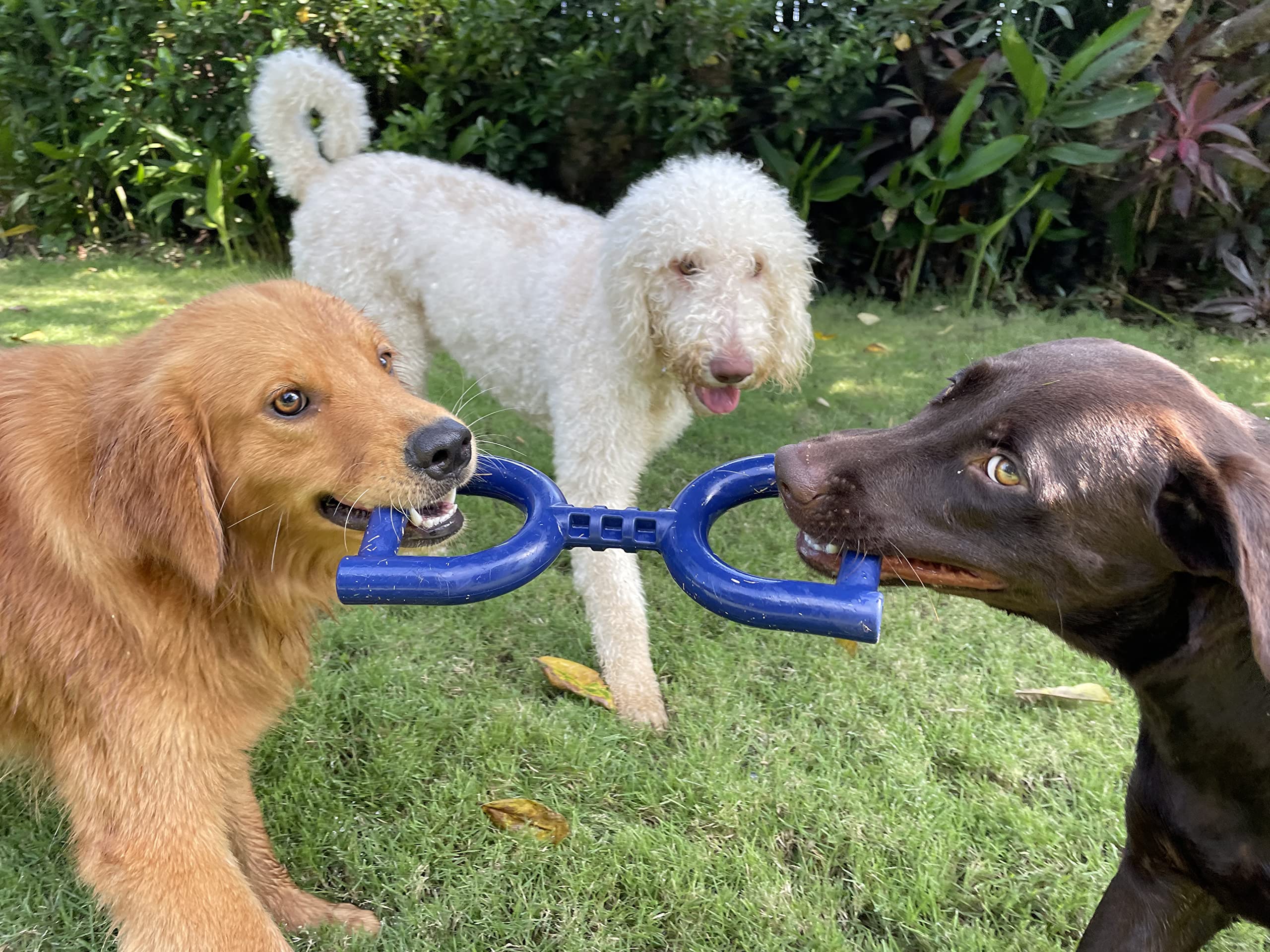 Juguete tirón azul intenso para exteriores, Tuff Pupper.