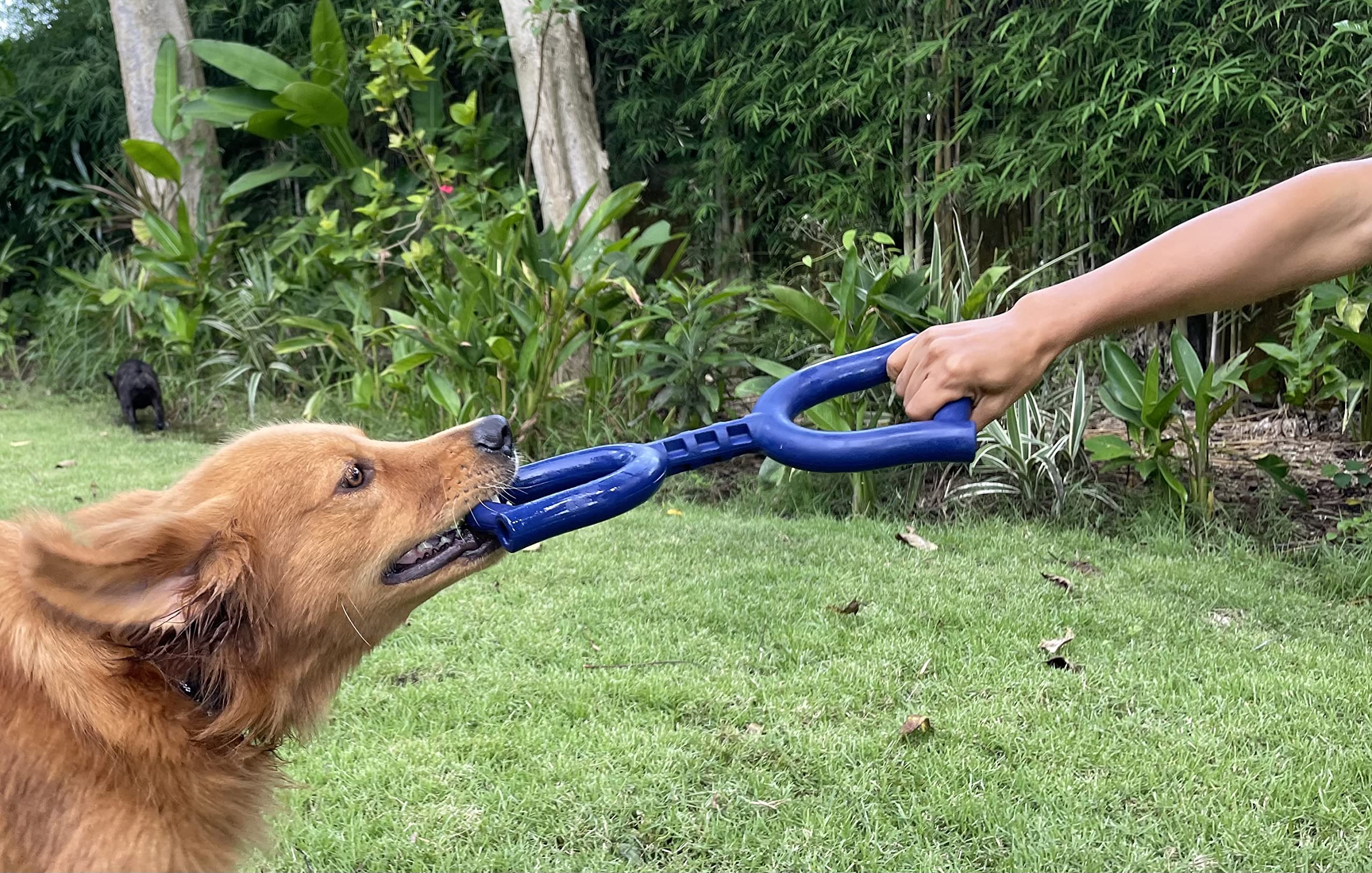 Juguete tirón con goma duradera, sesiones largas con Tuff Pupper.