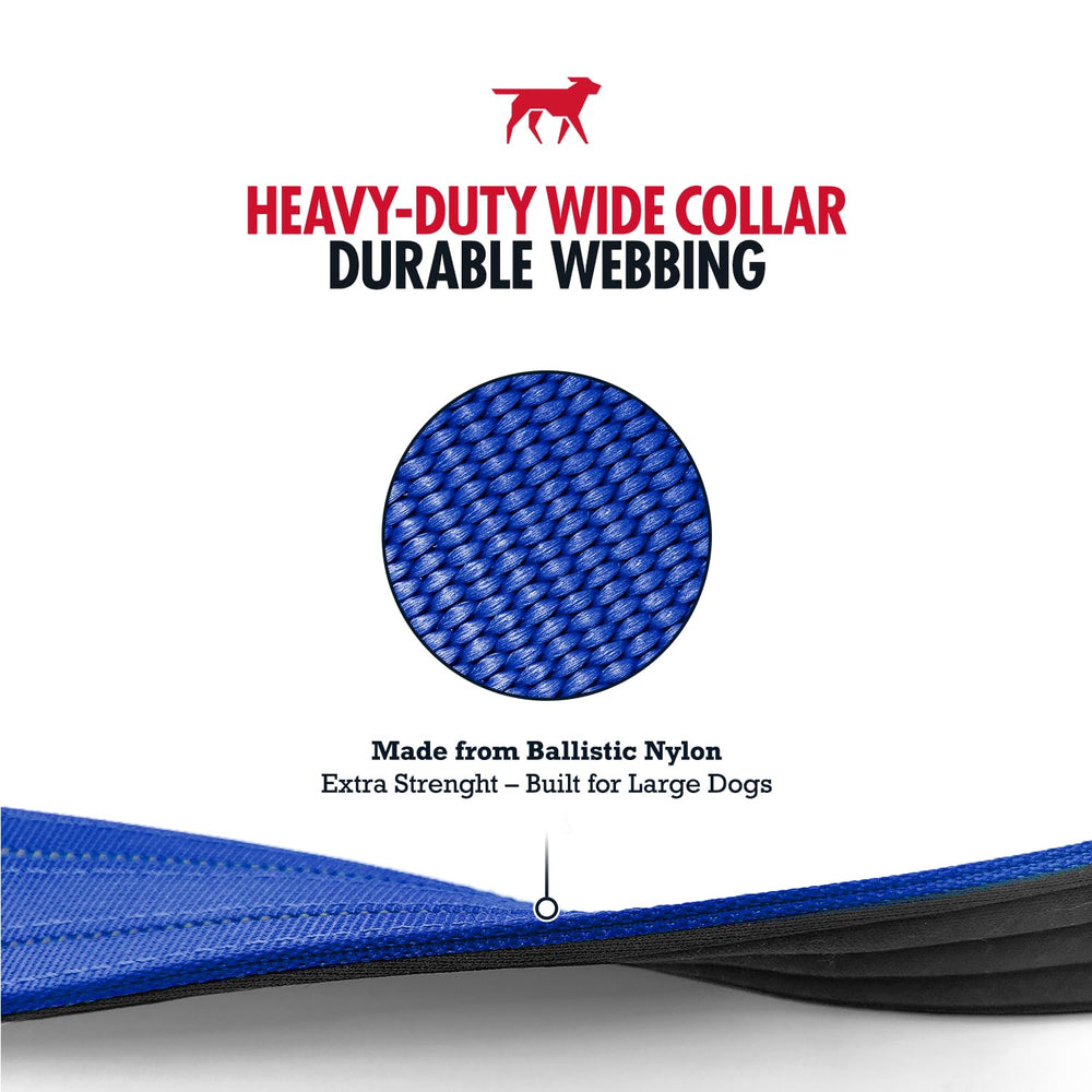 Tallas y colores variados de la correa Tuff Pupper en azul.