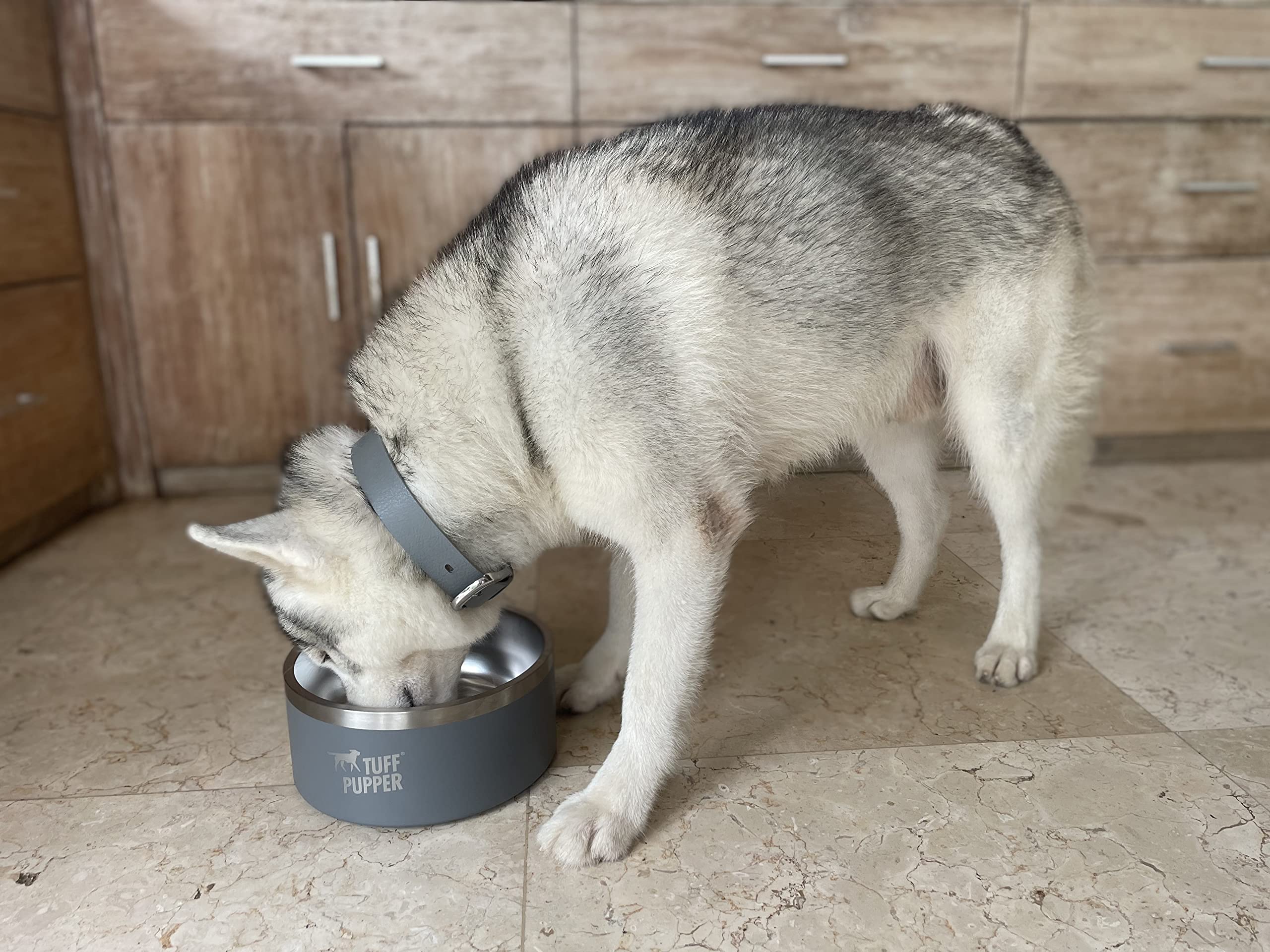 Tuff Pupper apto para lavavajillas facilita la limpieza