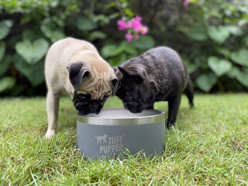 Tuff Pupper tazón de alta capacidad ideal para hogares con varios perros