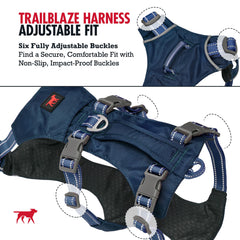 Banda reflectiva TrailBlaze de Tuff Pupper para mayor visibilidad nocturna.