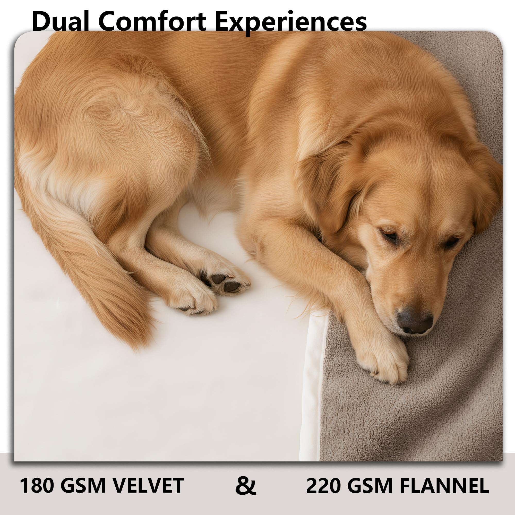 Protección de sofá con manta Tuffeel ideal para hogares con mascotas.