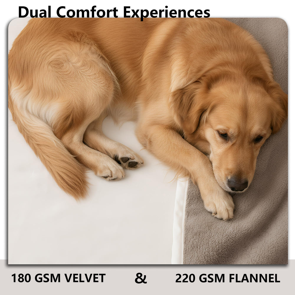 Protección de sofá con manta Tuffeel ideal para hogares con mascotas.