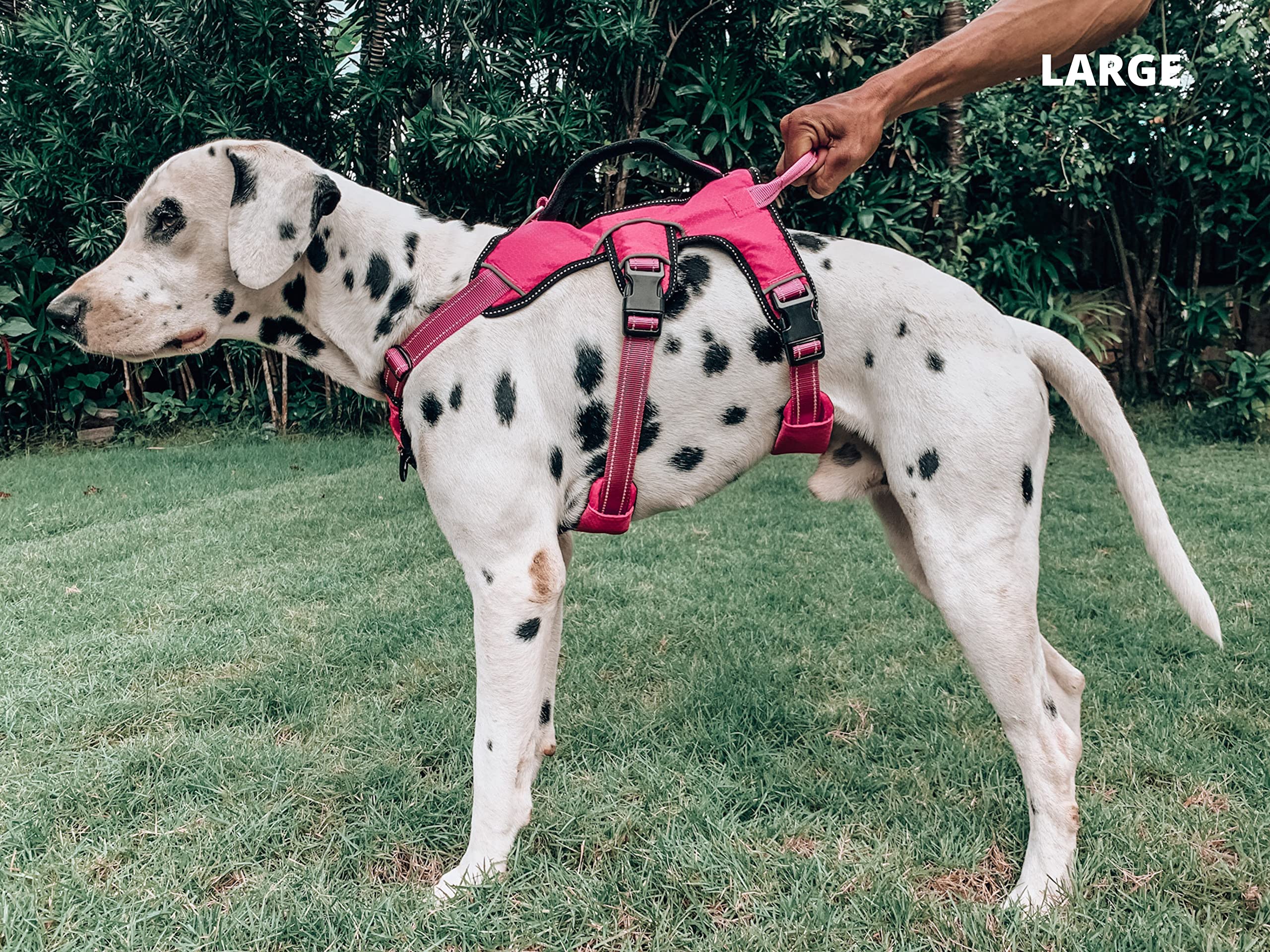 Tuff Pupper arnés acolchado con malla para mayor transpirabilidad.