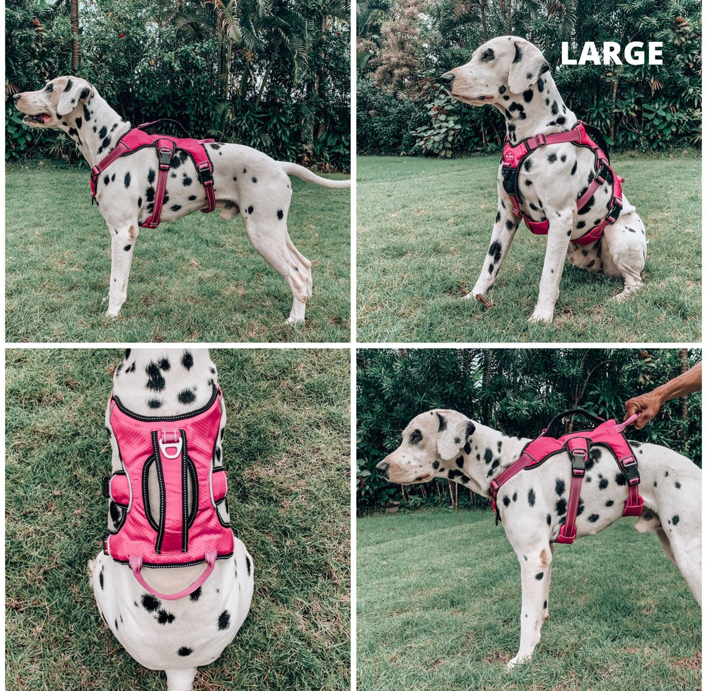 Tuff Pupper arnés acolchado con confort y respirabilidad.