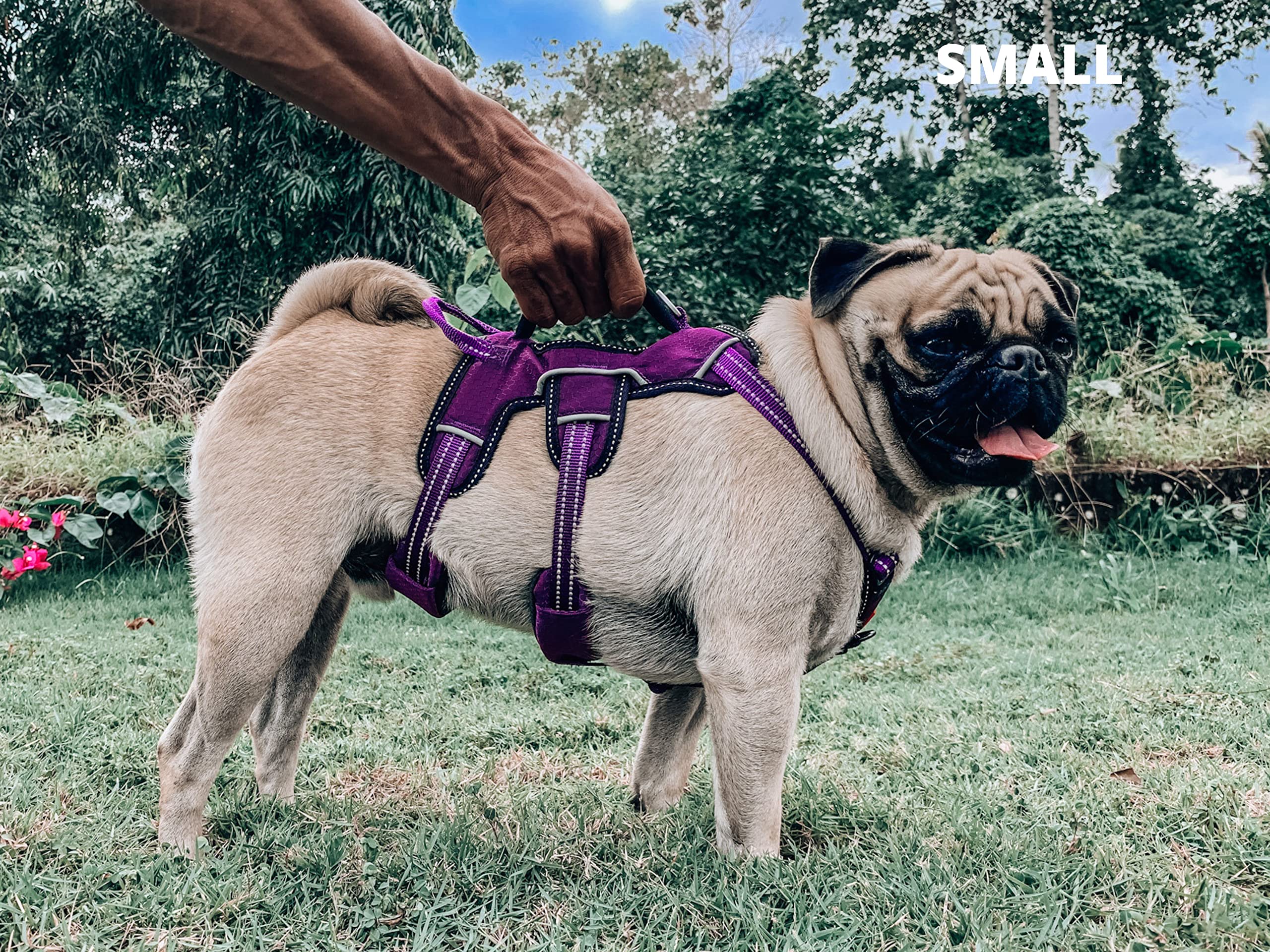 Tuff Pupper arnés distribuye la carga de forma uniforme para evitar incomodidad.