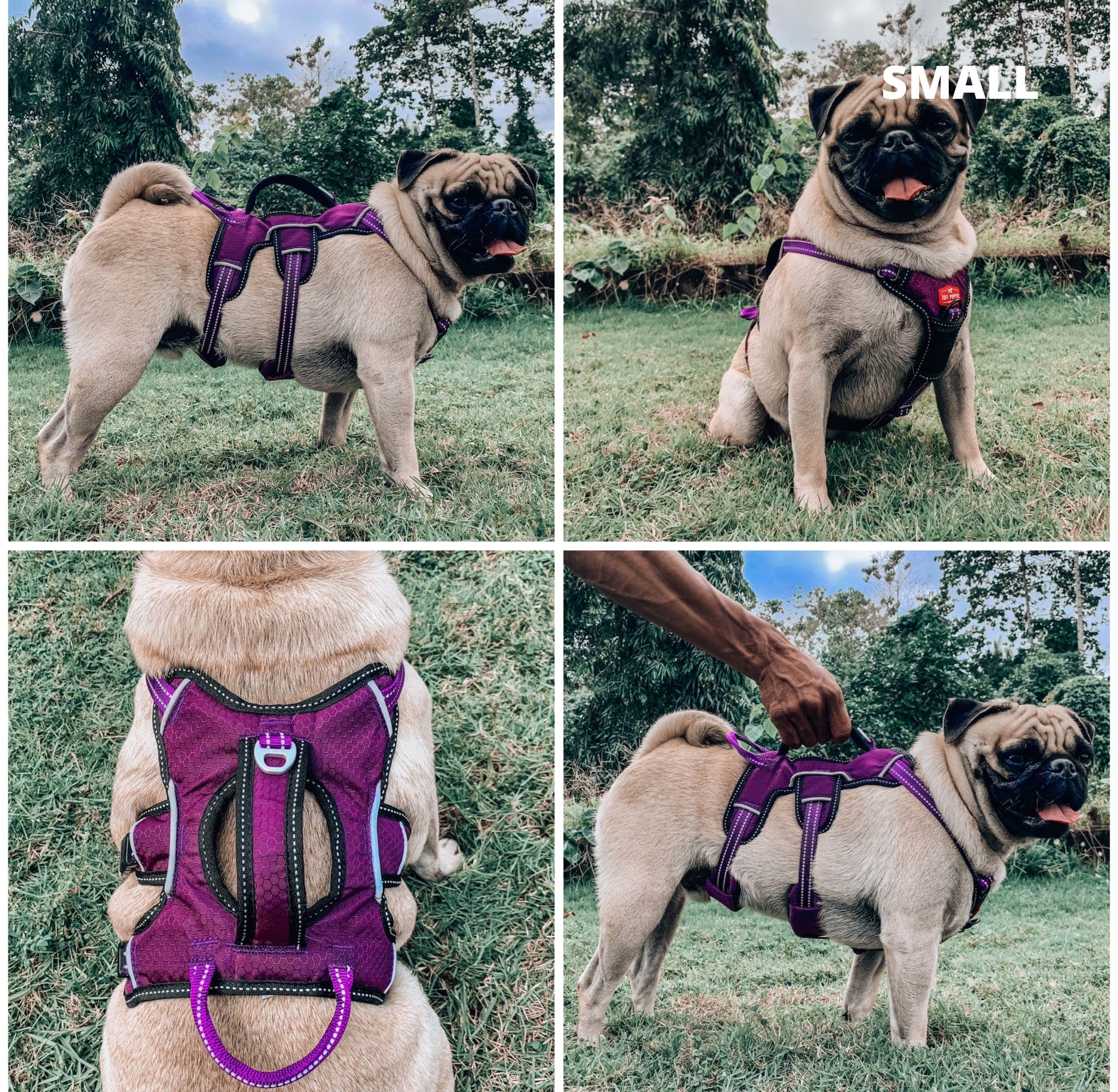 Tuff Pupper arnés con tejido de poliéster resistente al agua para uso diario.