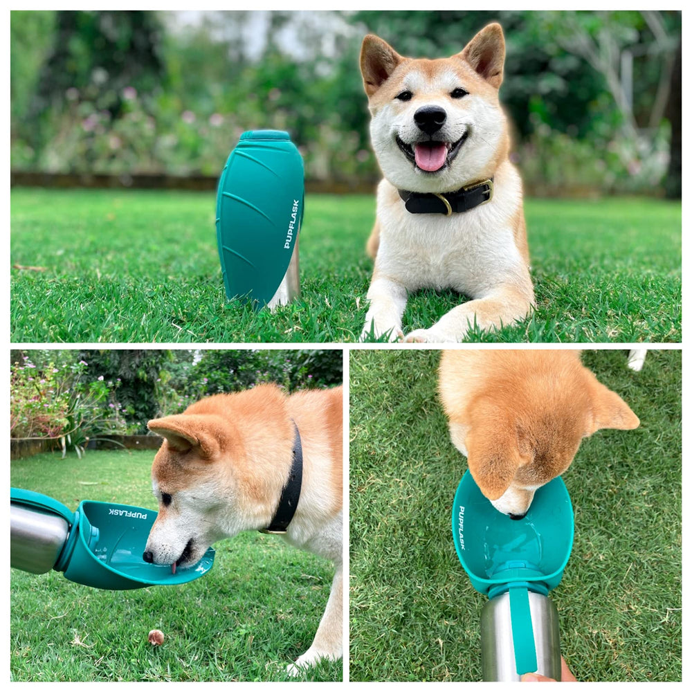 PupFlask de Tuff Pupper, sistema antiderrames para salidas seguras.