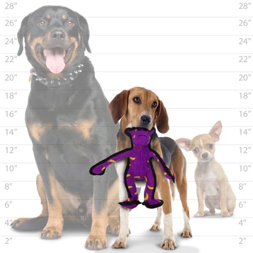 TUFFY Zoo Junior Monkey, escala TuffScale 8, ideal para perros activos