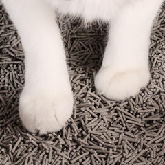 Tuft + Paw: arena para gato sin polvo, hogar limpio.