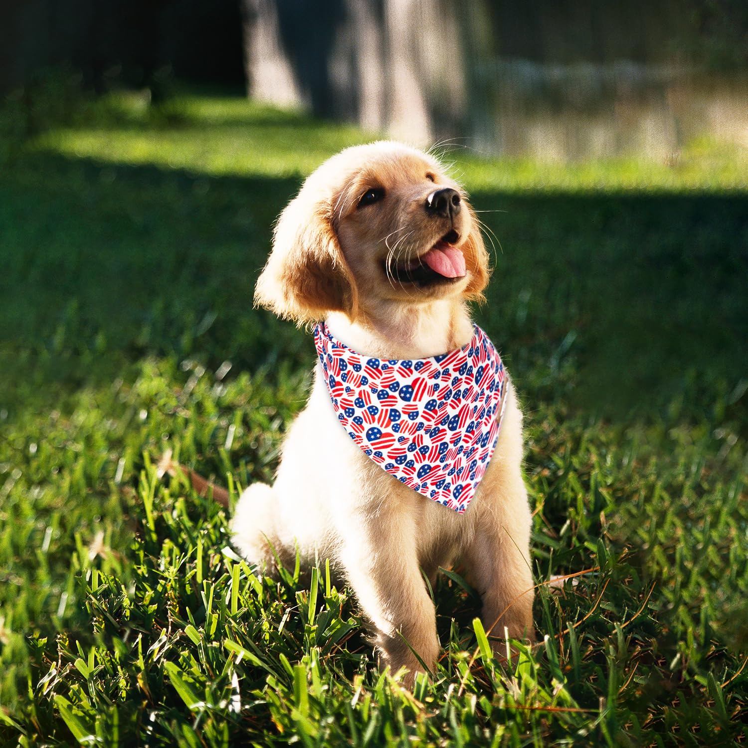 Diseño con corazón y bandera realza el estilo de tu mascota.