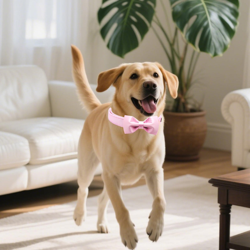 Collar Tunkoo en talla media, ajuste seguro para perros de tamaño medio.
